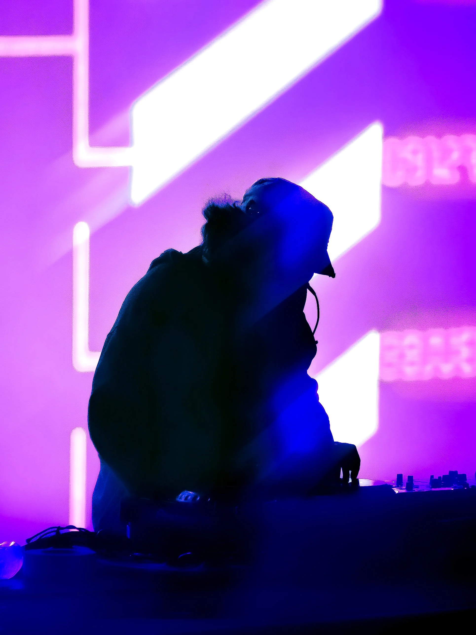 JUELZ_Echostage_Purple-31.jpg