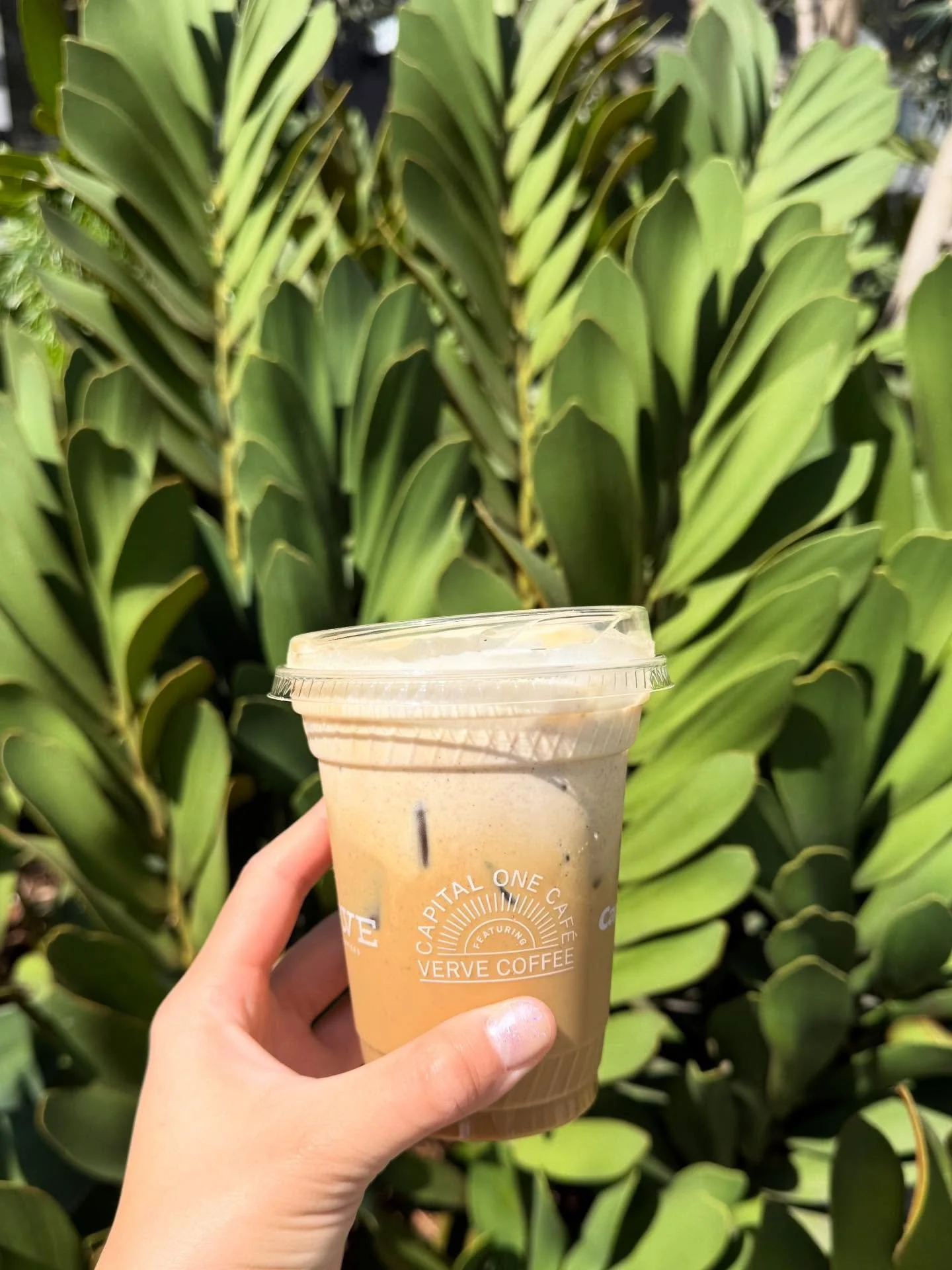 🍂 Fall 🍂 in LA just means you pour it over ice!  Grab a cinnamon maple latte (pictured), maple flash brew, pumpkin pie latte, or candy apple matcha soda at our @capitalonecafe on Hollywood Blvd.

#falldrinks #capitalonecafe #ovationhollywood