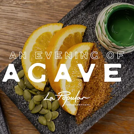 An Evening of Agave