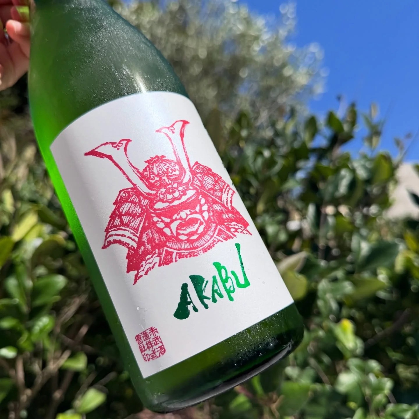Spring break energy ☀️🌿
The season of fresh greenery, and a chilled glass of Akabu Junmai Ginjo.

Vibrant, juicy, and effortlessly balanced&mdash;
the kind of sake that tastes like spring in every sip 🍶

@akabu_sake