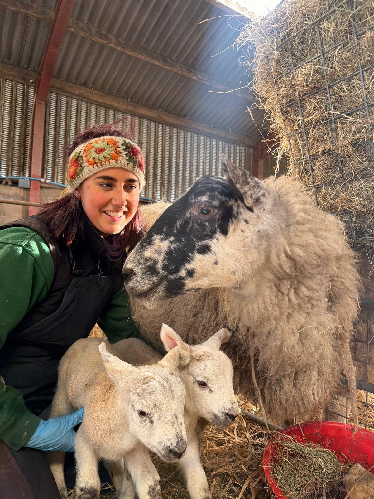 A woman in a green jacket and floral headband smiling with sheep and lambs in a barn.