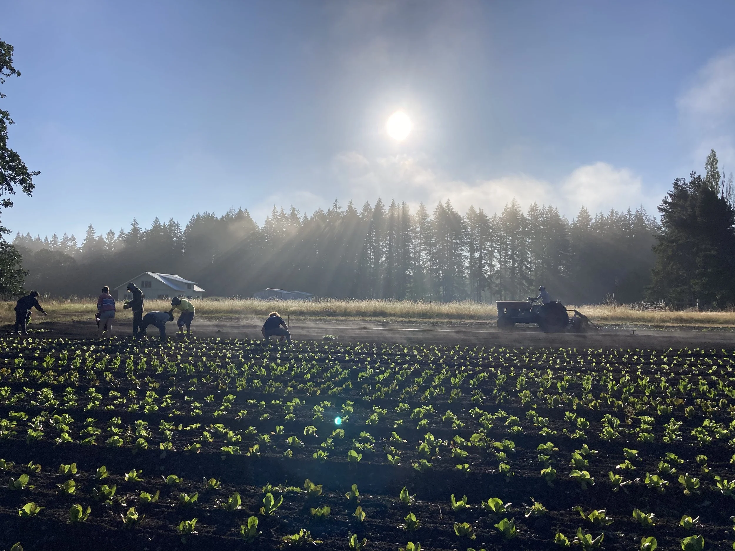 About — Kingfisher Organic Farm