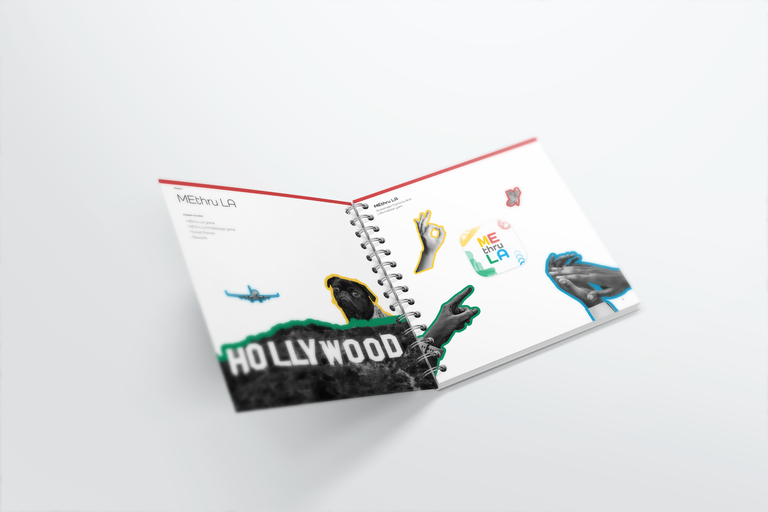 MELA spread project.png