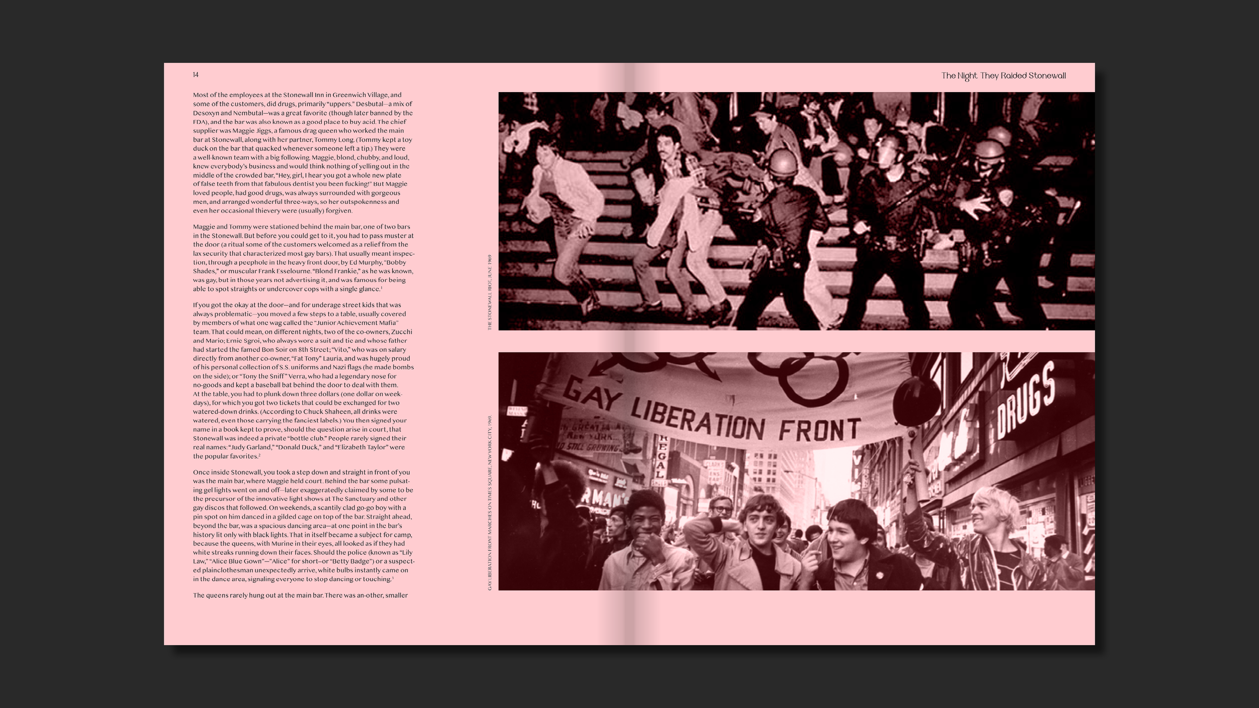 Make it Queer - Presentation9.png