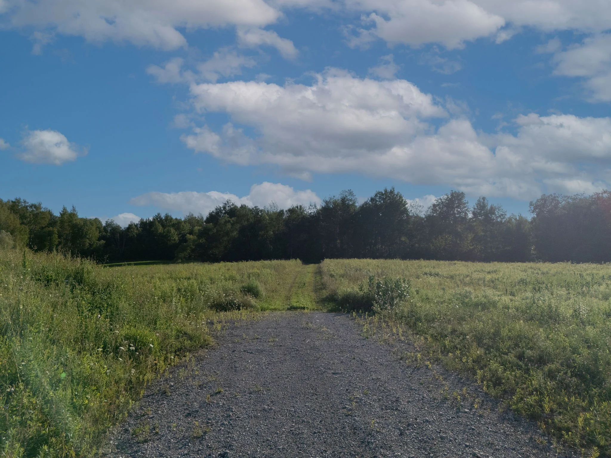 Bridgewater-20.jpg