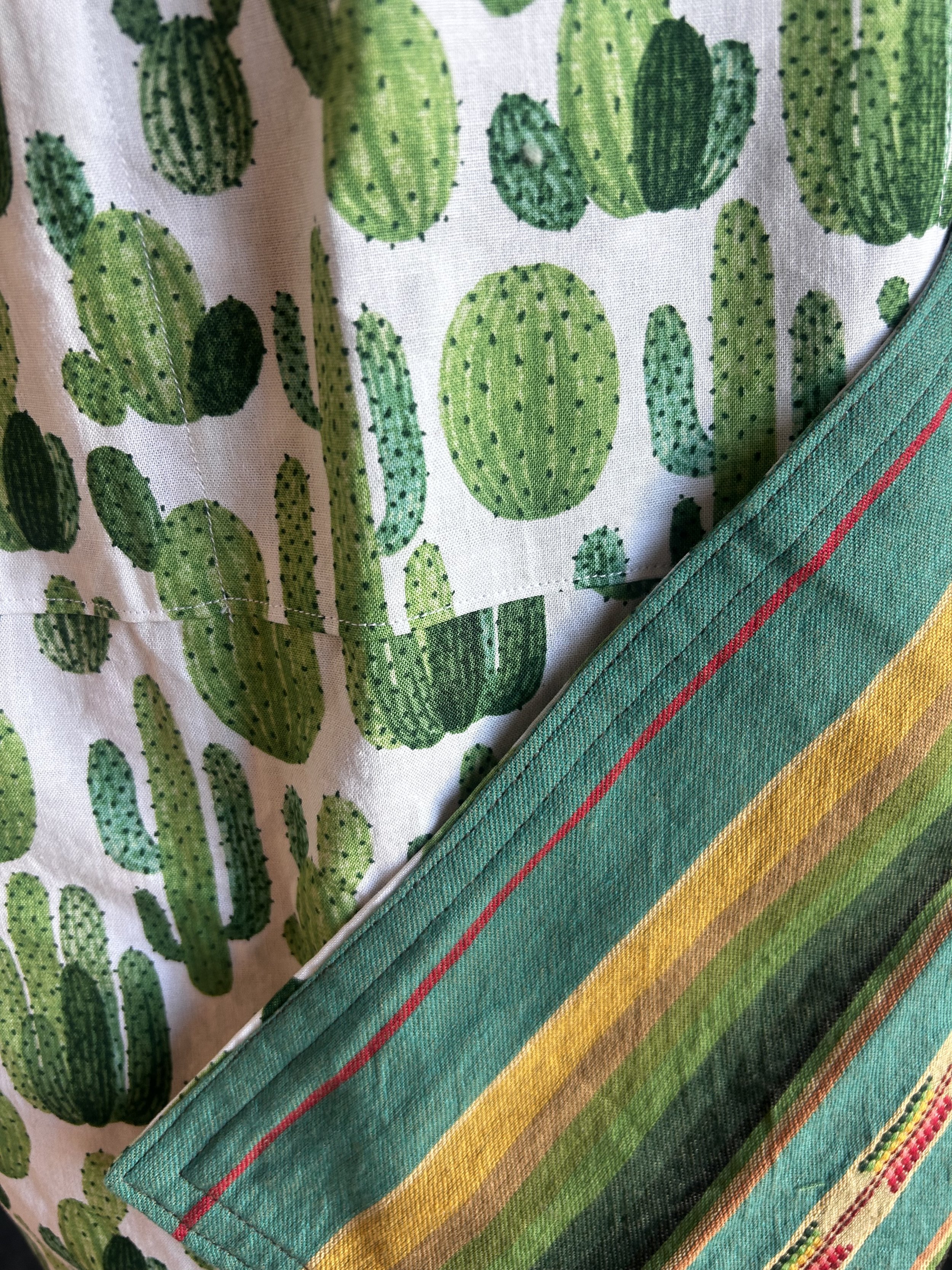 cactus both close.jpeg