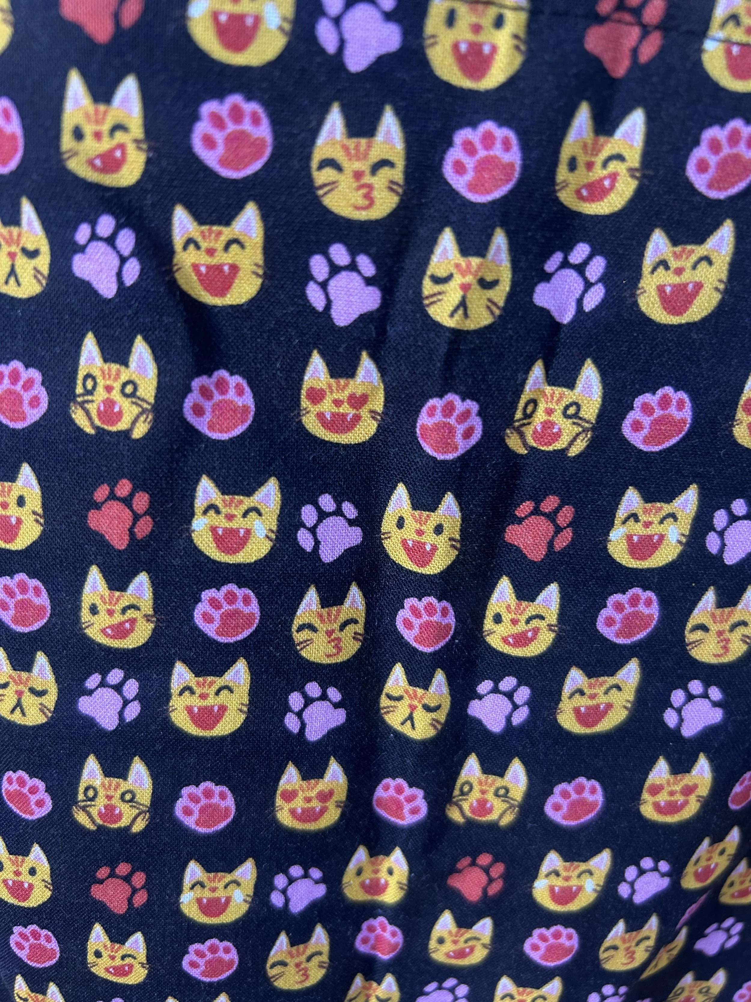 cats close front.jpeg