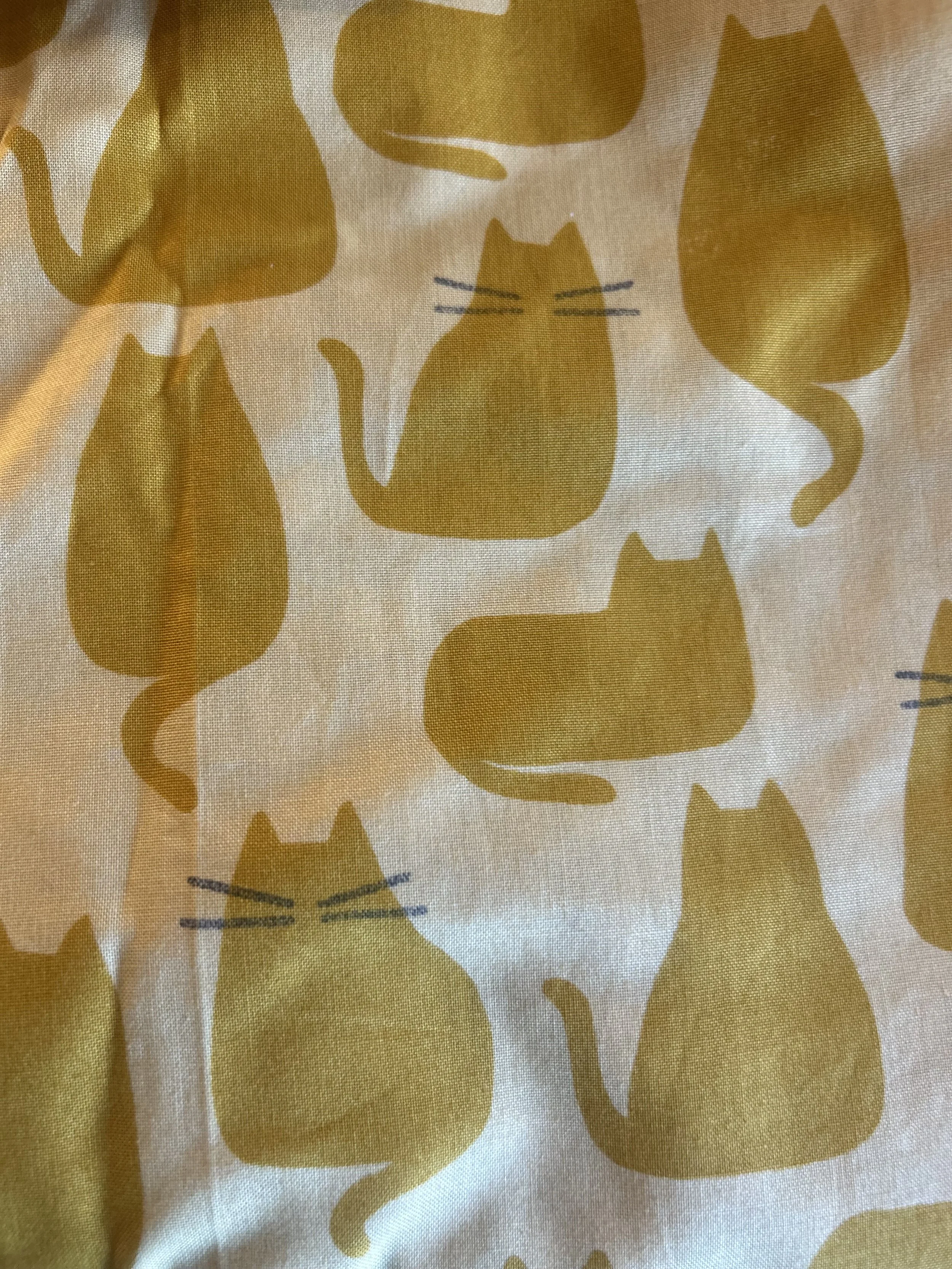 cats back close.jpeg