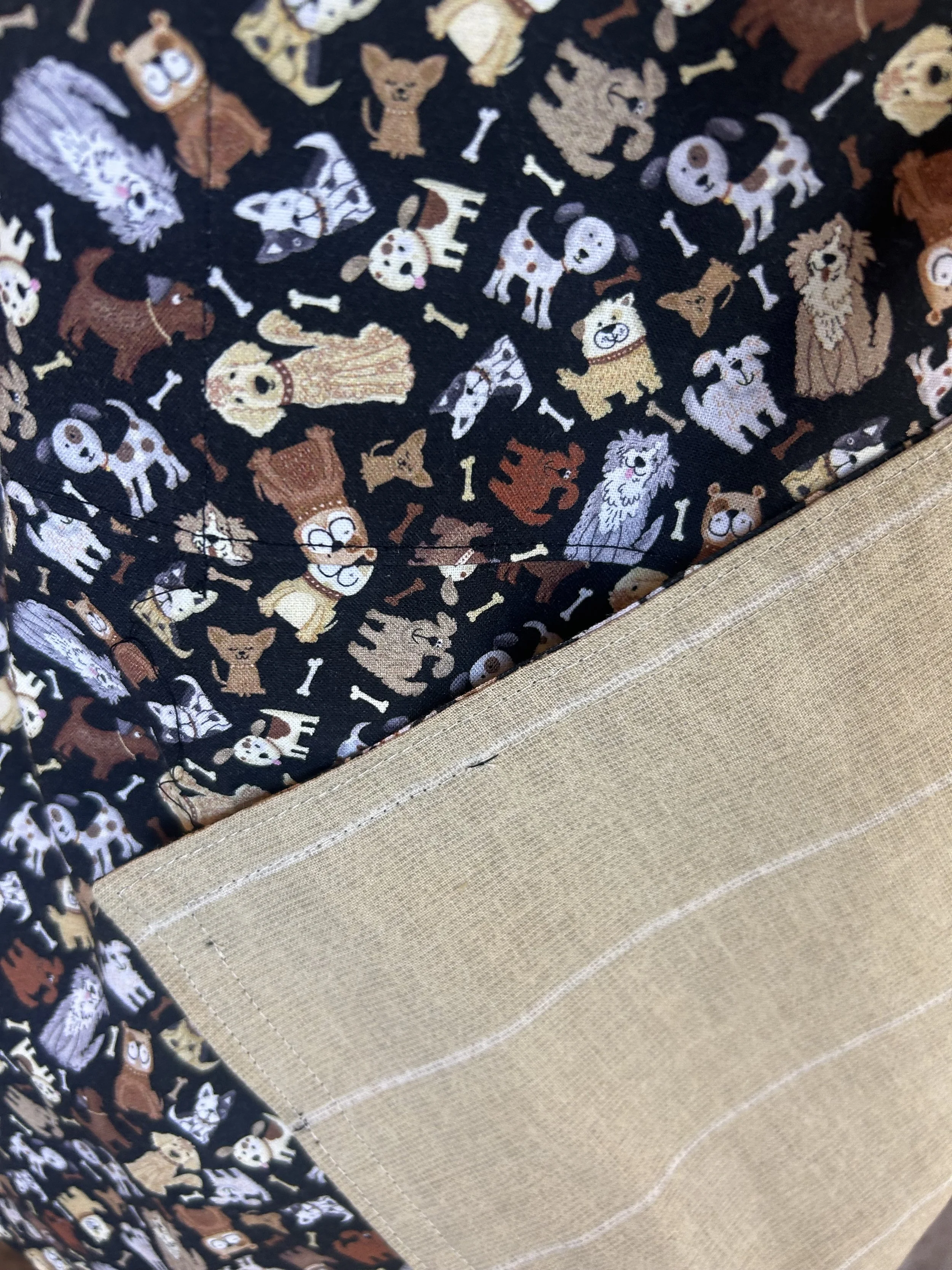 dogs close both.jpeg