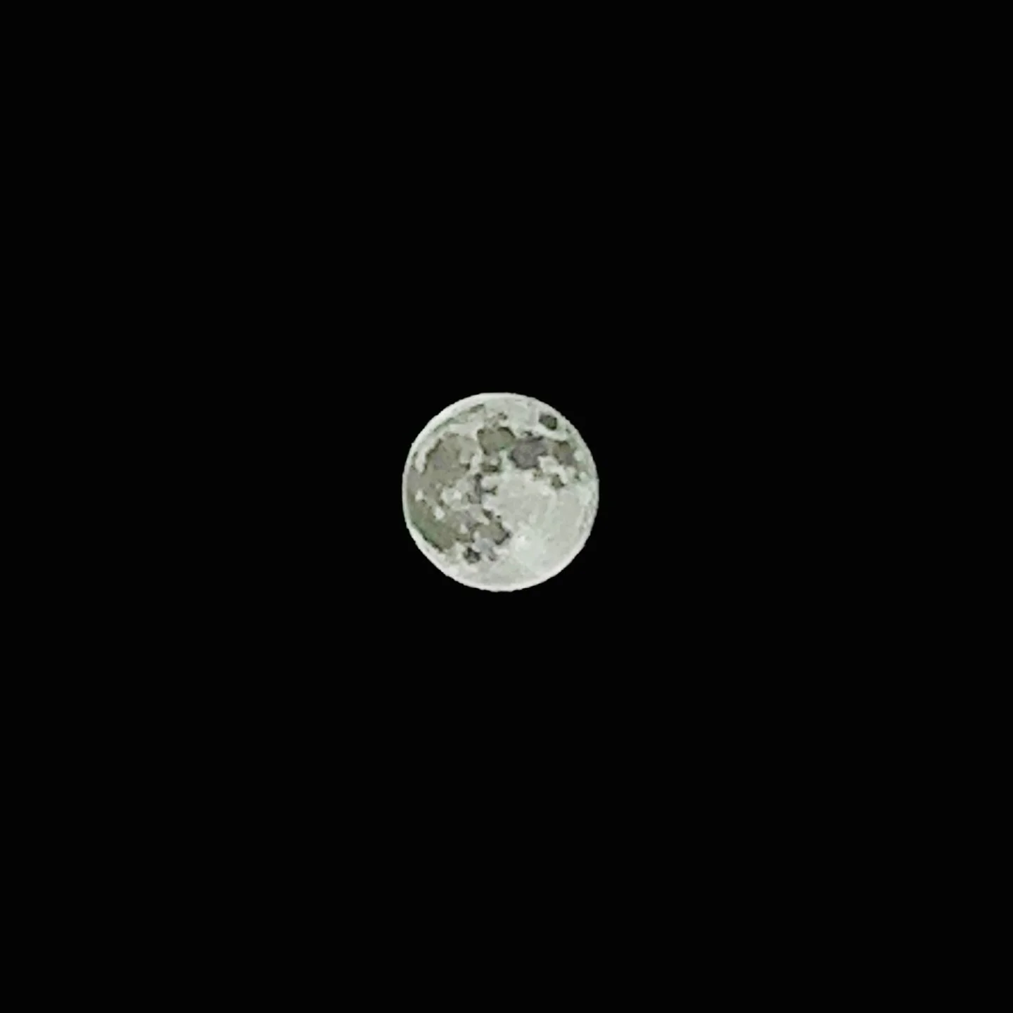 Under the Hunter&rsquo;s Moon, we trust our instincts and align our focus as we move with preparation and purpose. 🌕🧭🎯