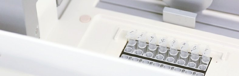 testing-DNA_GMO.jpg