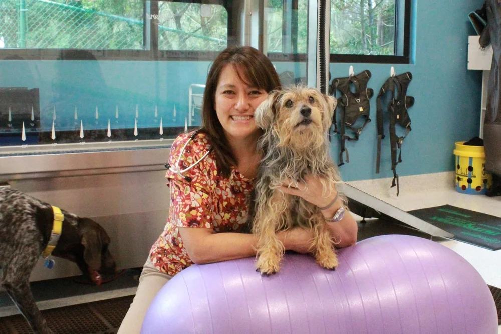 Veterinarians β Mililani Mauka Veterinary Clinic