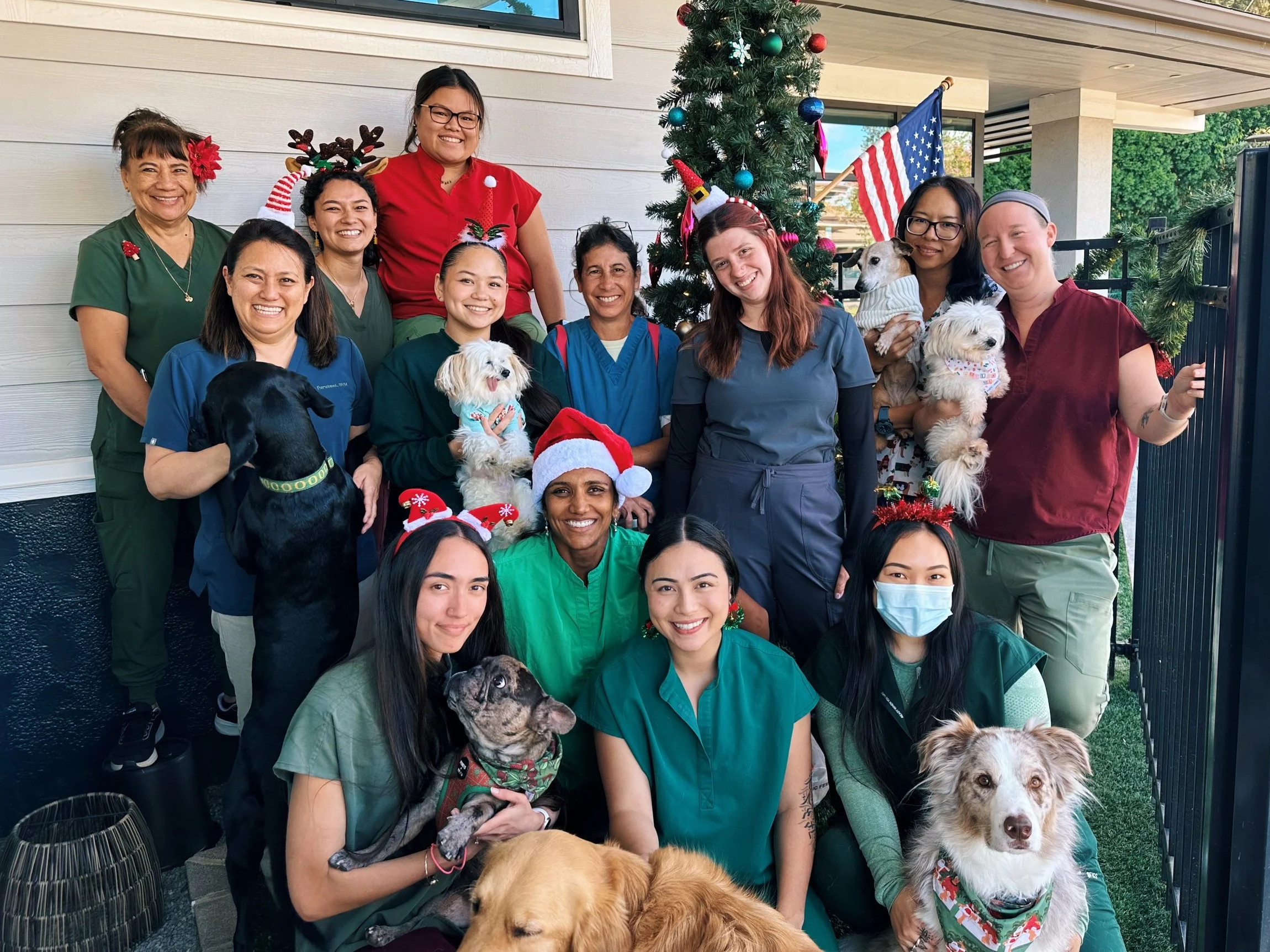 MMVC 2024 Christmas.png