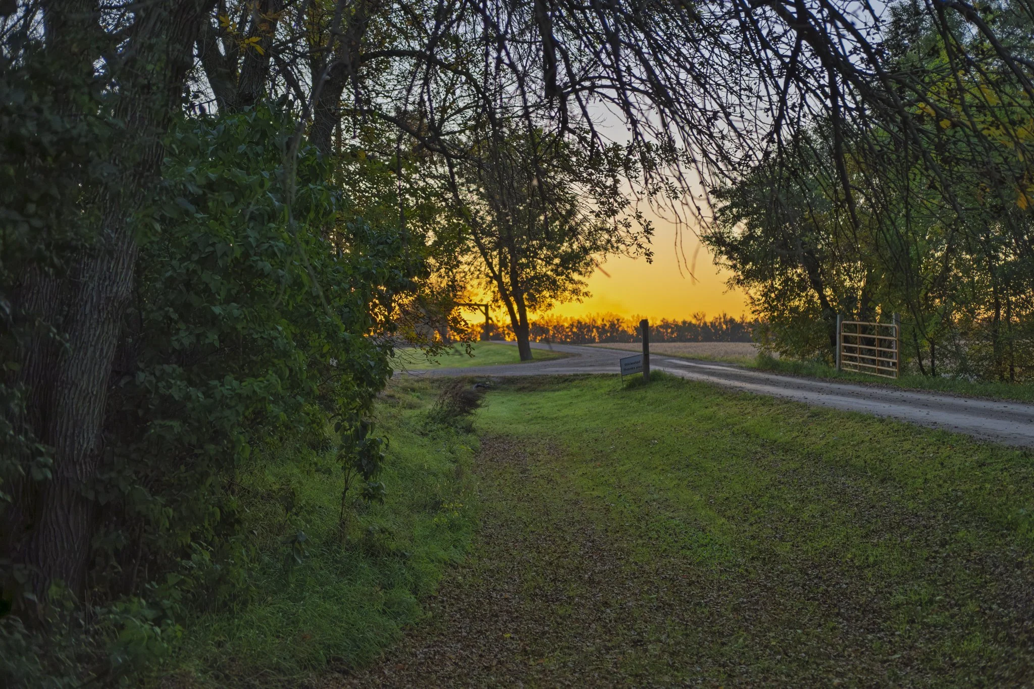 Sunrise on the lodge road