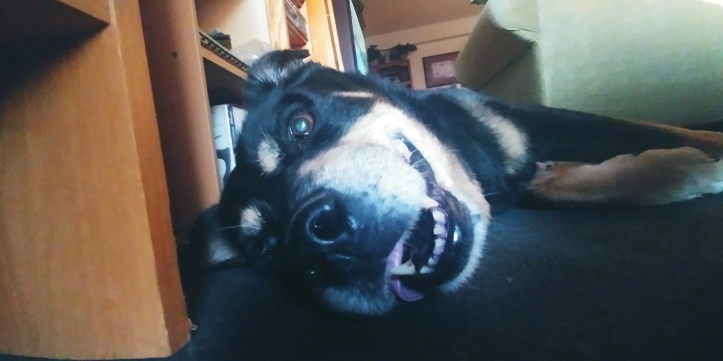 20220317_185315.jpg