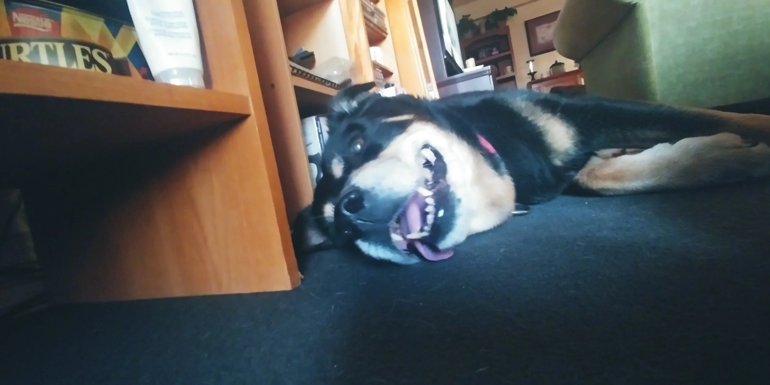 20220317_185304.jpg