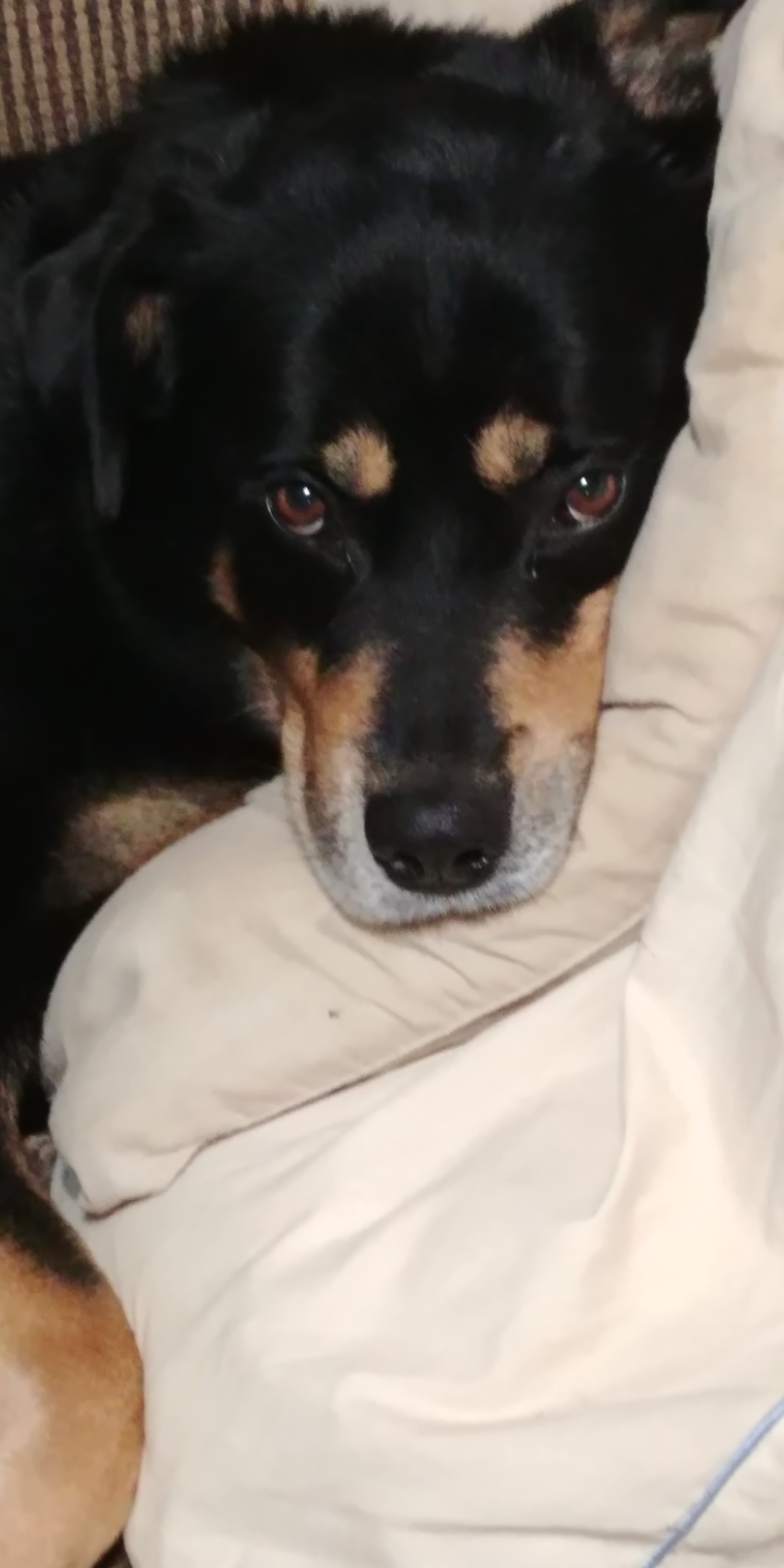 20180523_001758.jpg