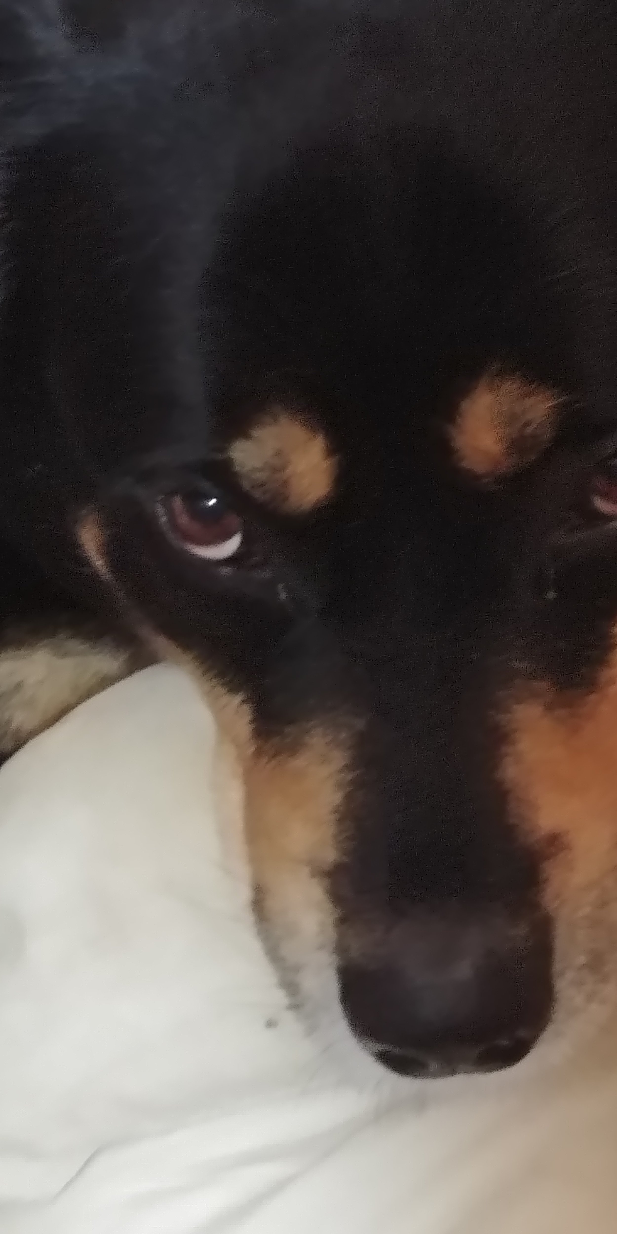 20180523_001802 (1).jpg