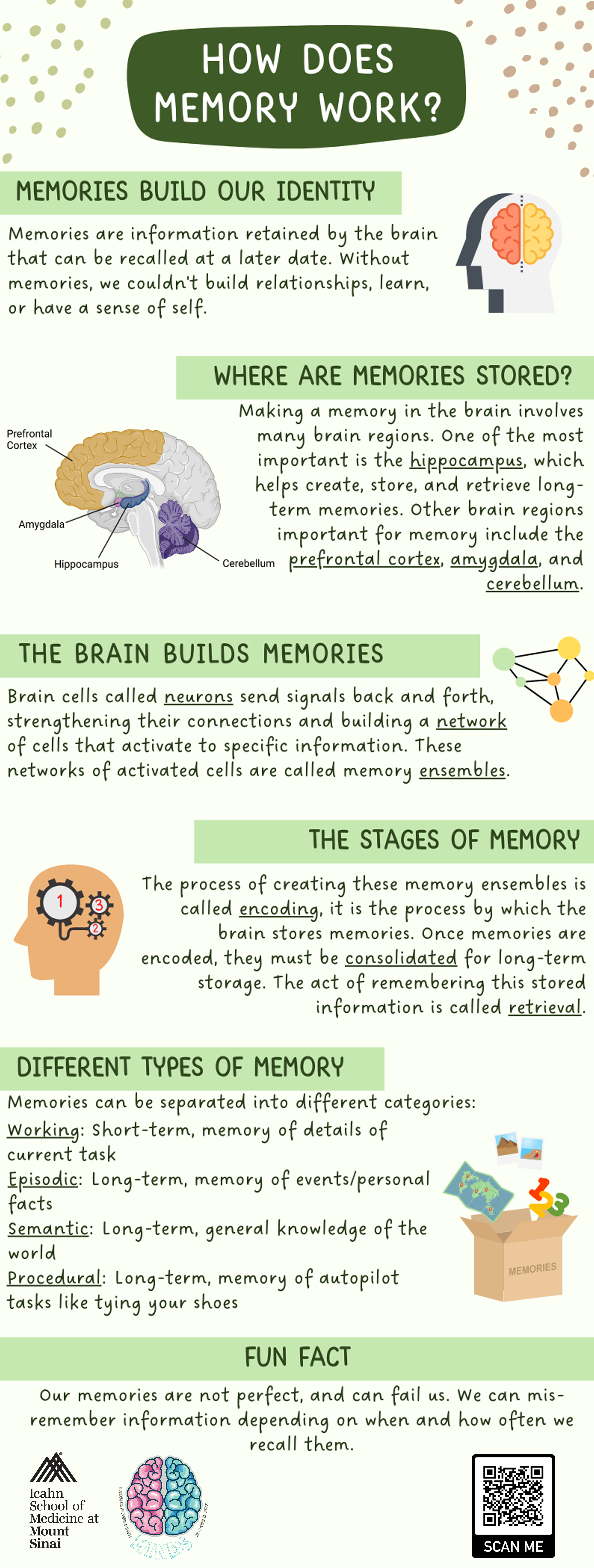 How Does Memory Work? — Minds