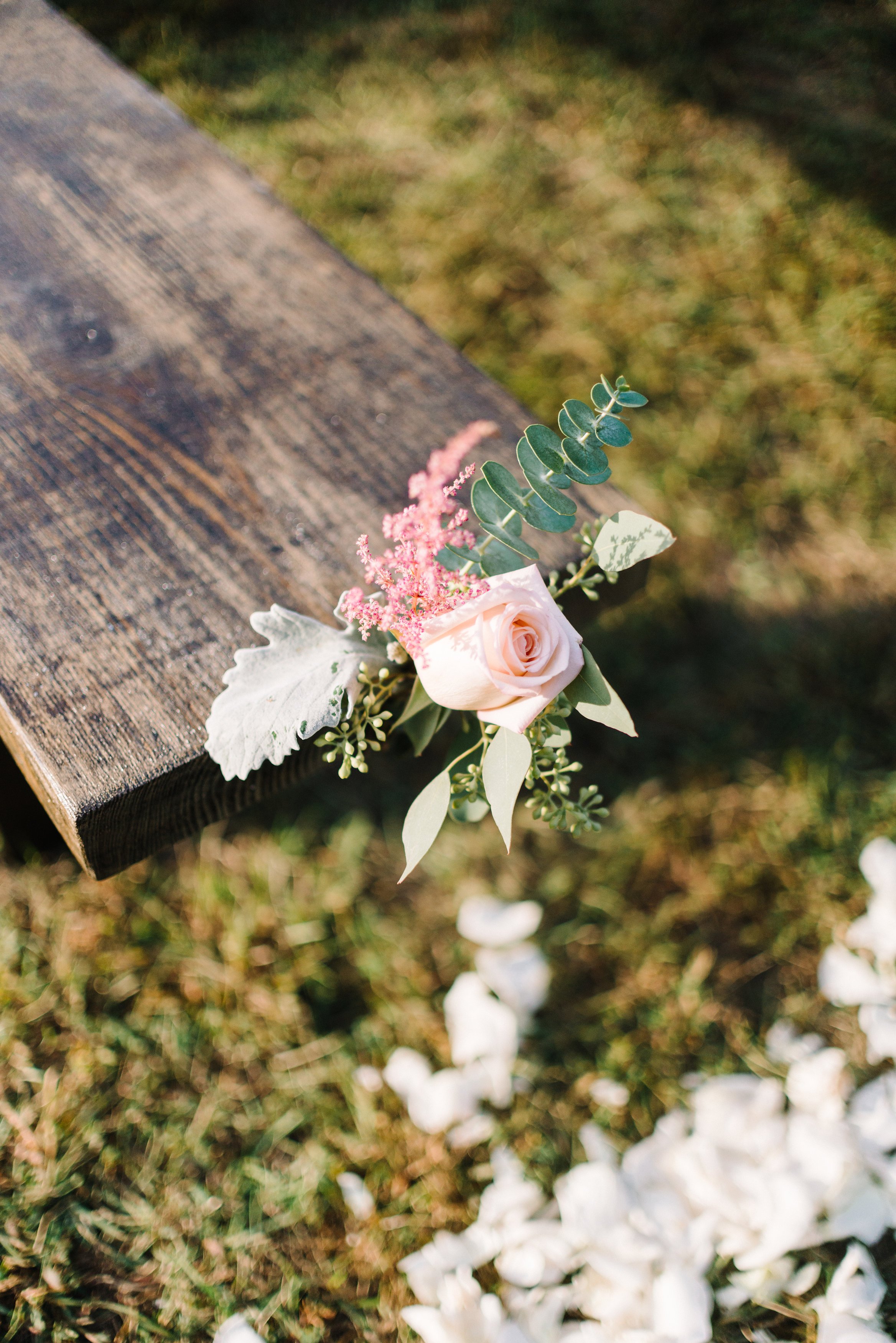 Catherine Taylor Photography