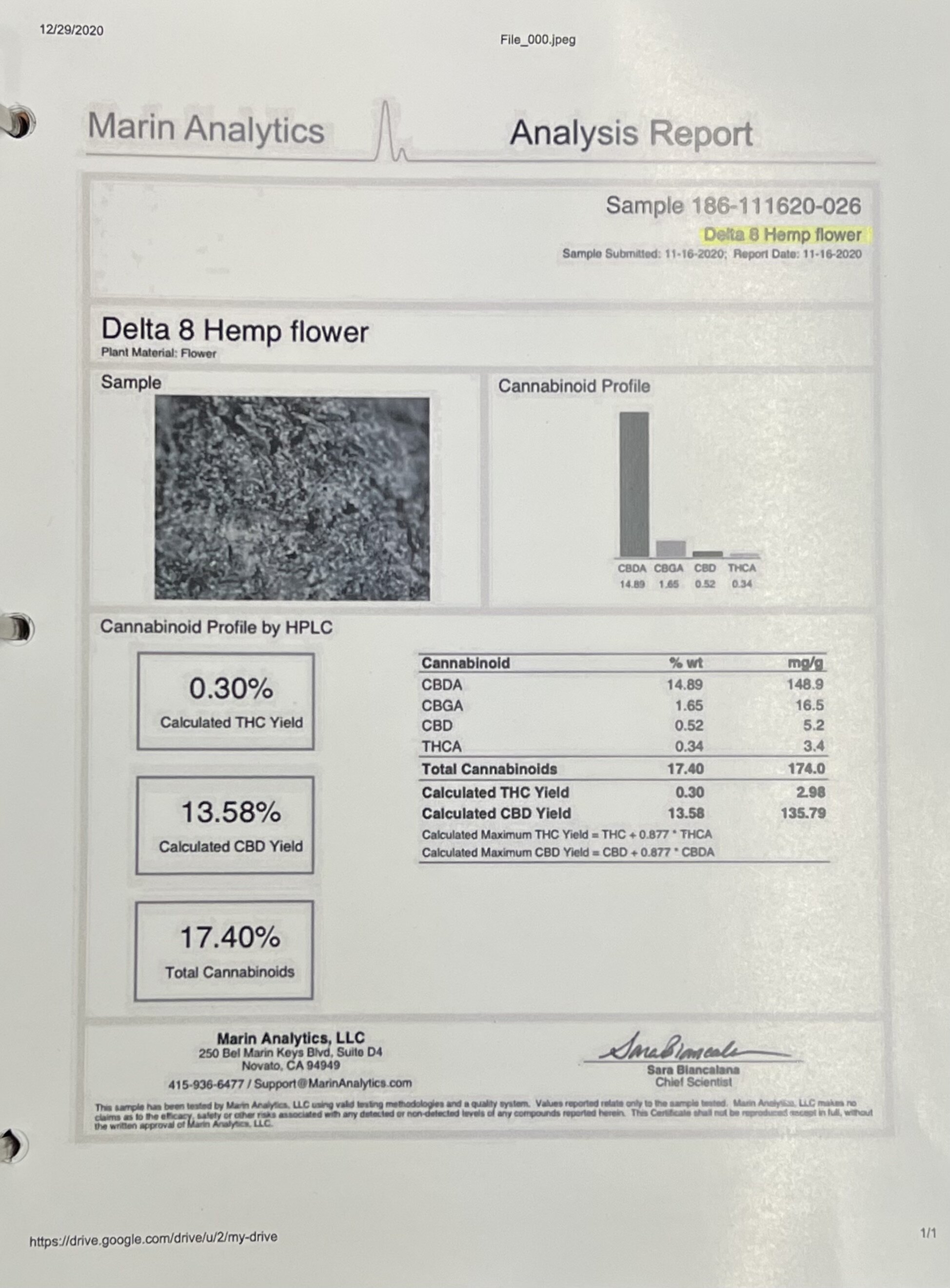 D8 Flower Lab Report.png