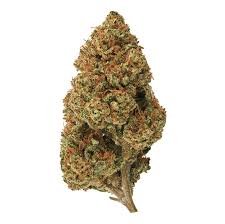 cbd flower.jpg