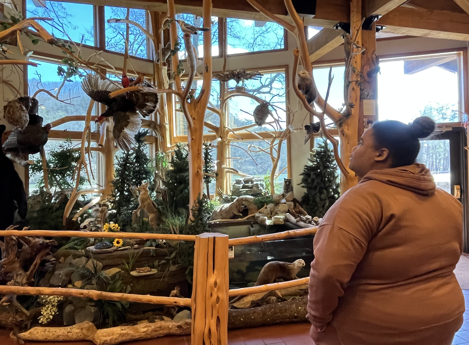 Screen Shot 2023-03-16 at 4.15.26 PM.png