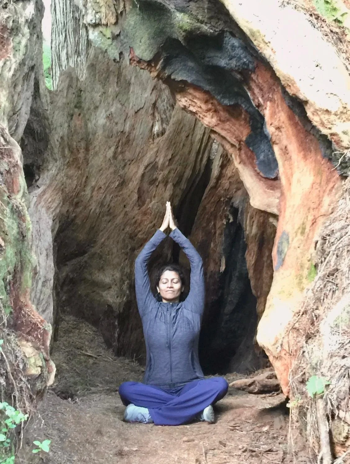 Dance Conversations - lecture series: Natya &amp; Yoga by Nandini Narayanan