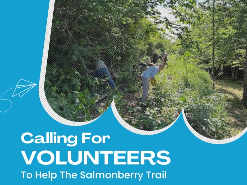 Volunteer Opportunities Await - Join Us Today!