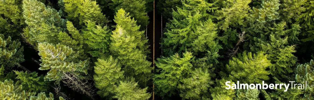 Save the Date: Tree Planting Work Parties