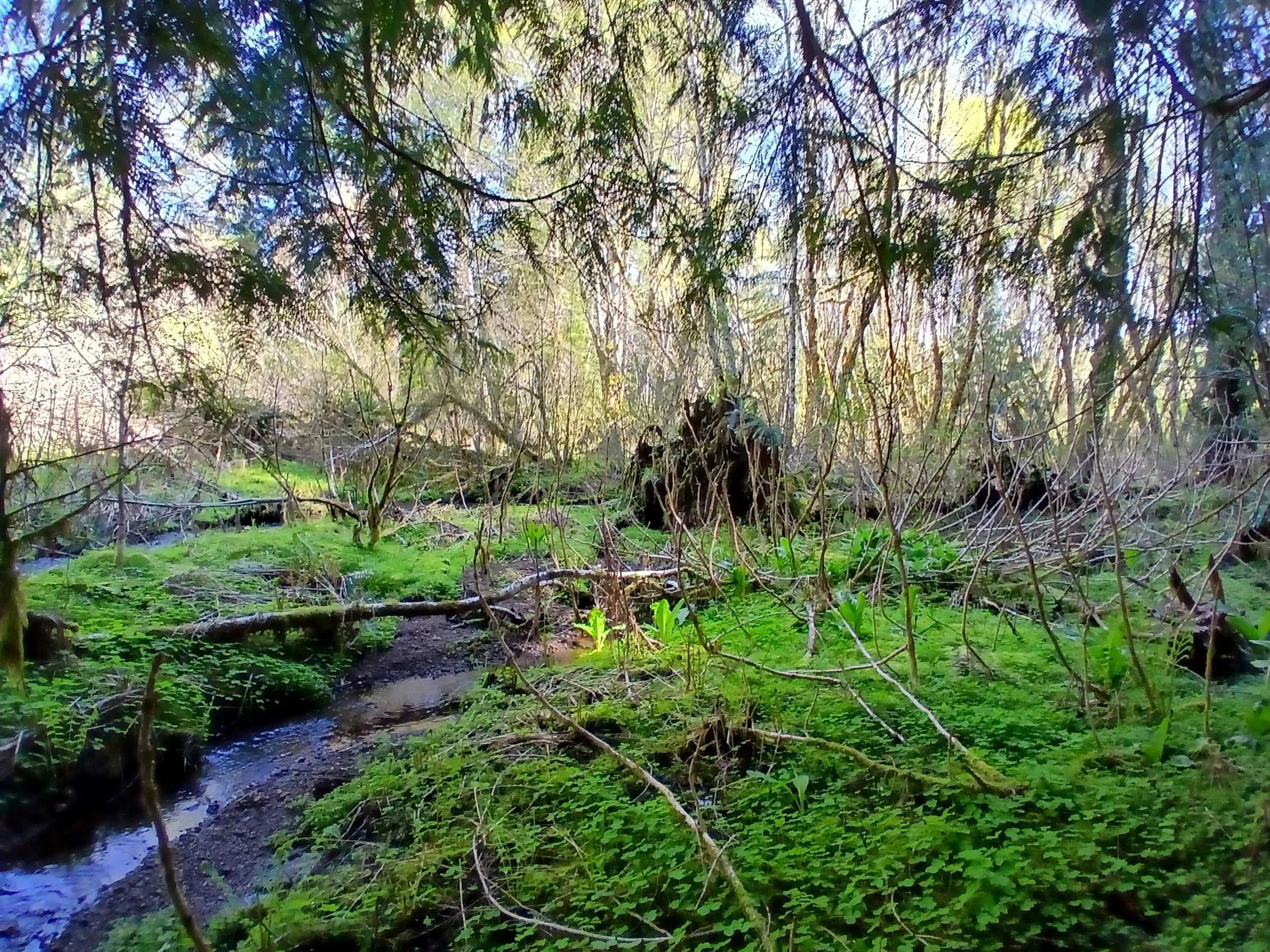 A Full April on the Salmonberry, and a Strong Start to May