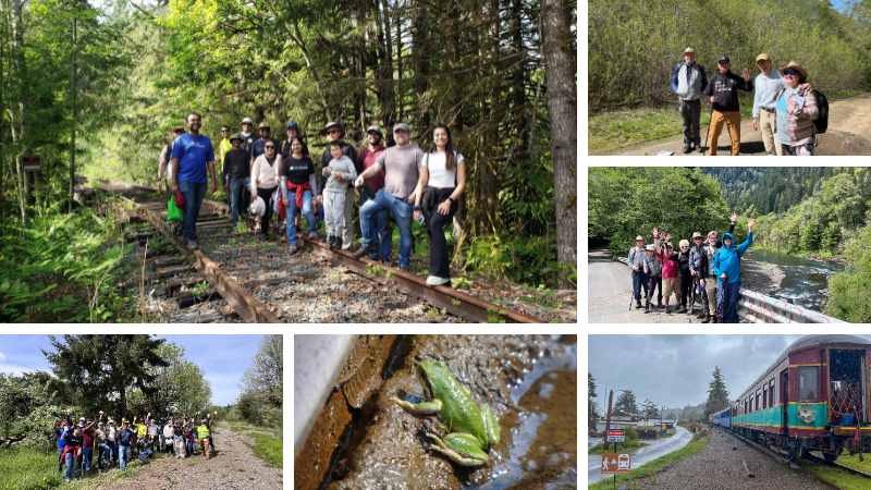 April on the Salmonberry Trail
