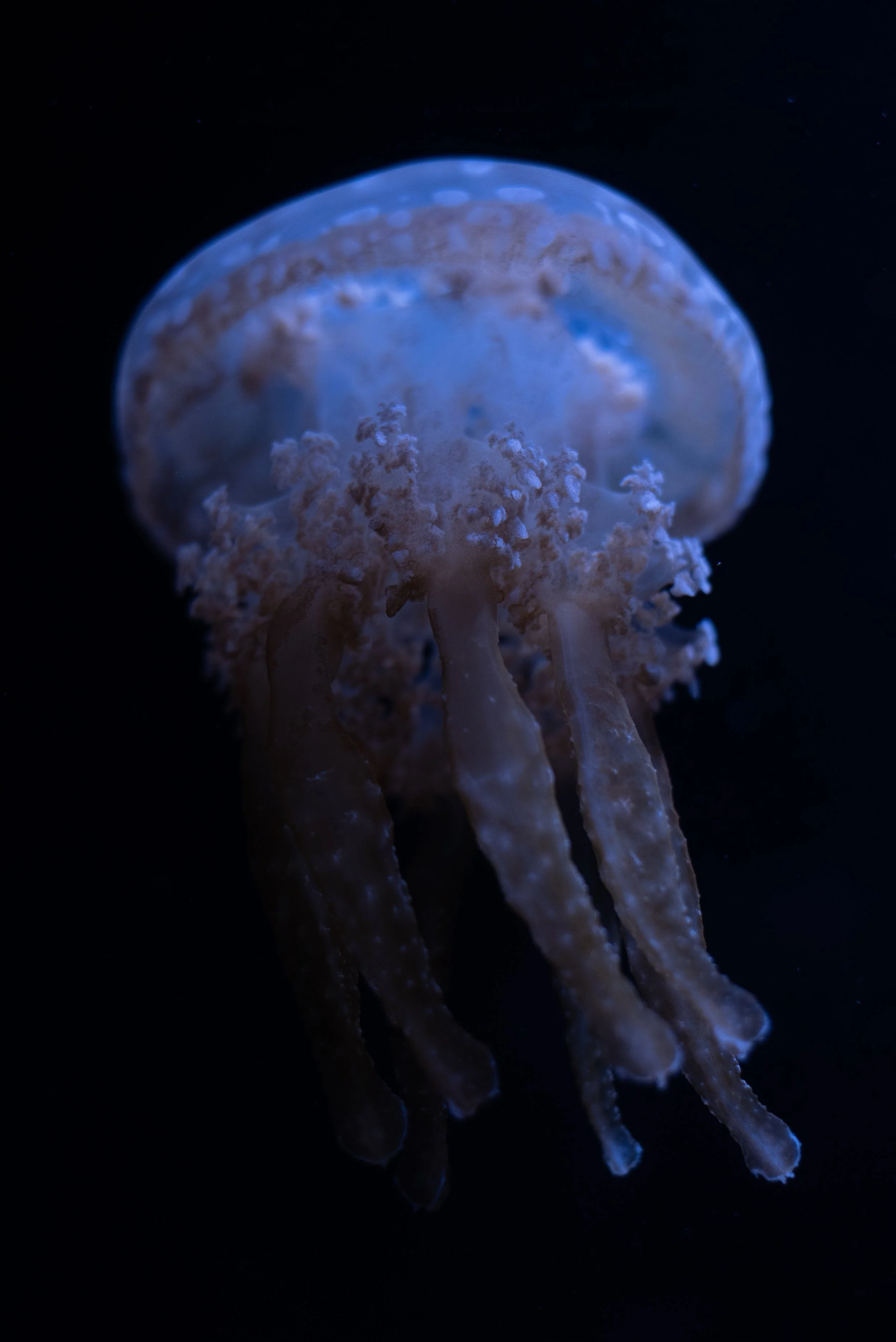 Nature 6.jpg