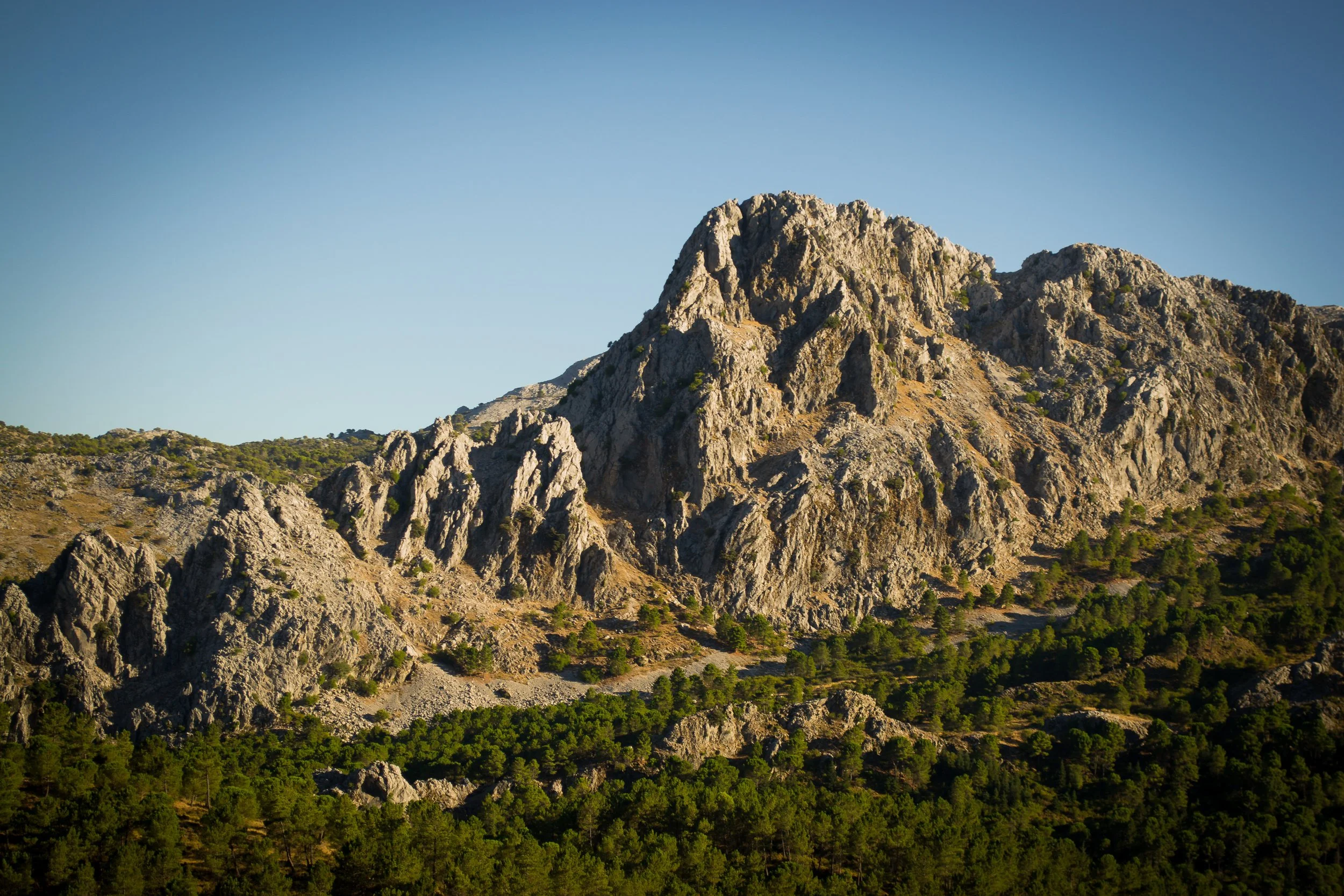 Landscape 2.jpg