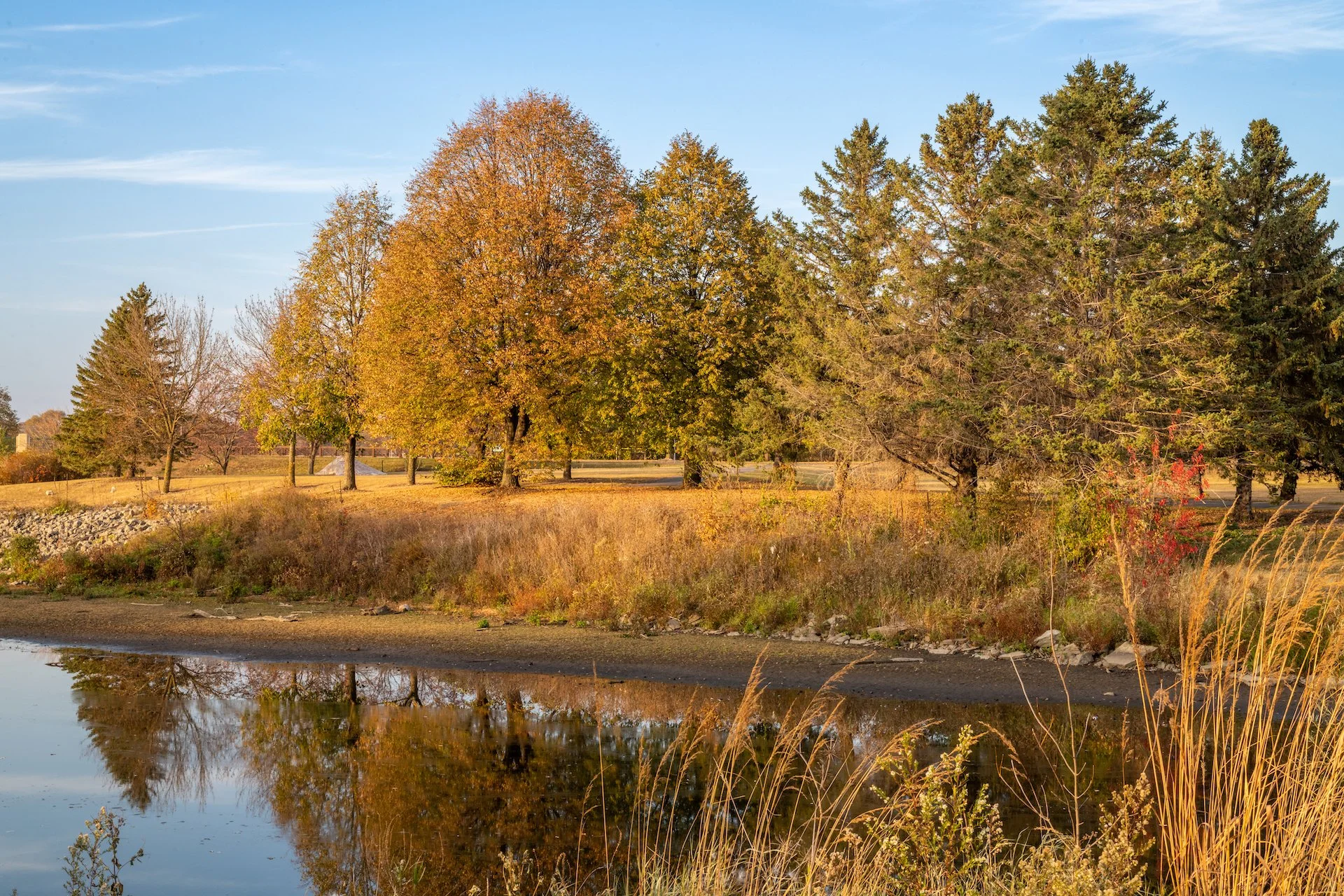 Landscape 7.jpg