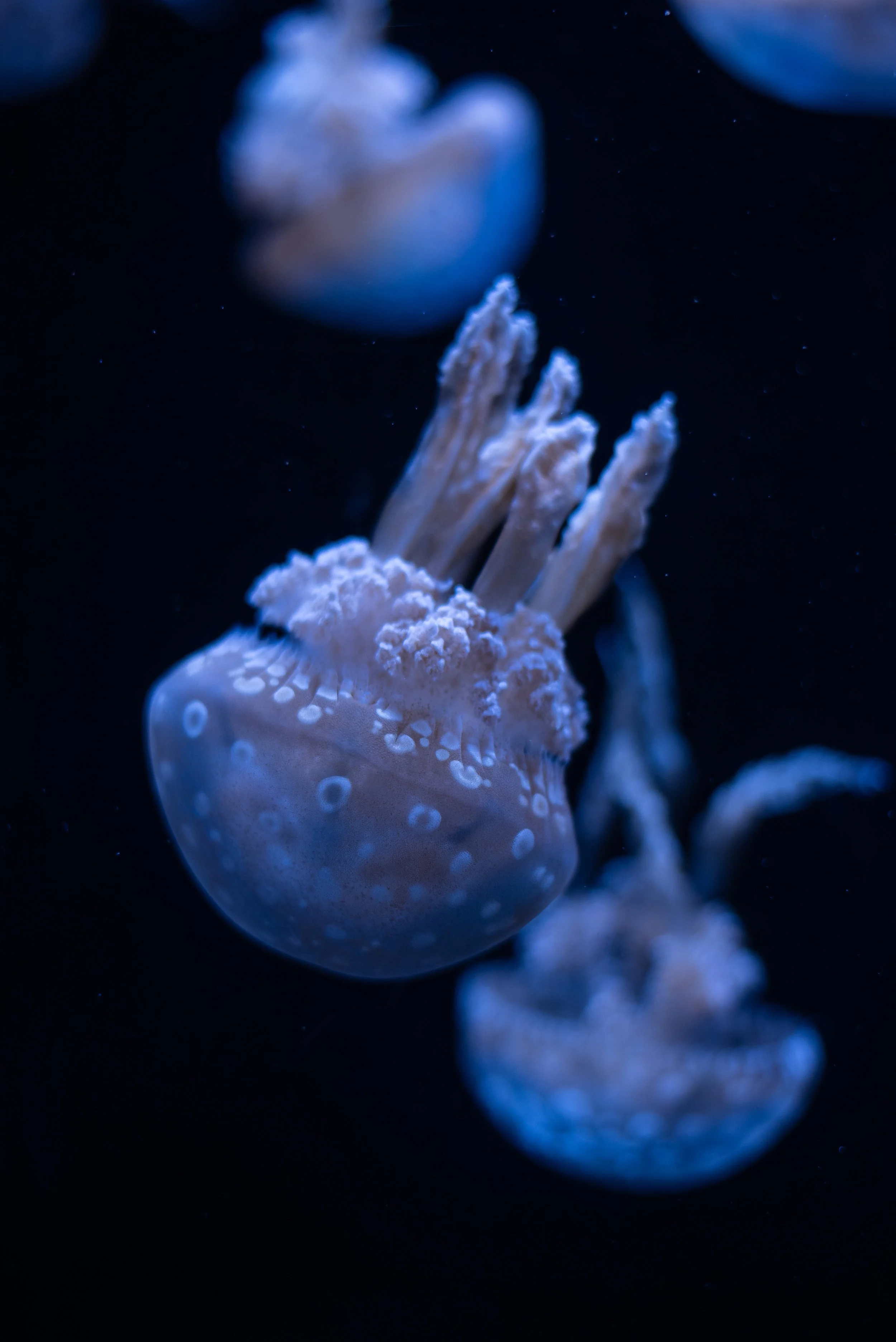 Nature 7.jpg