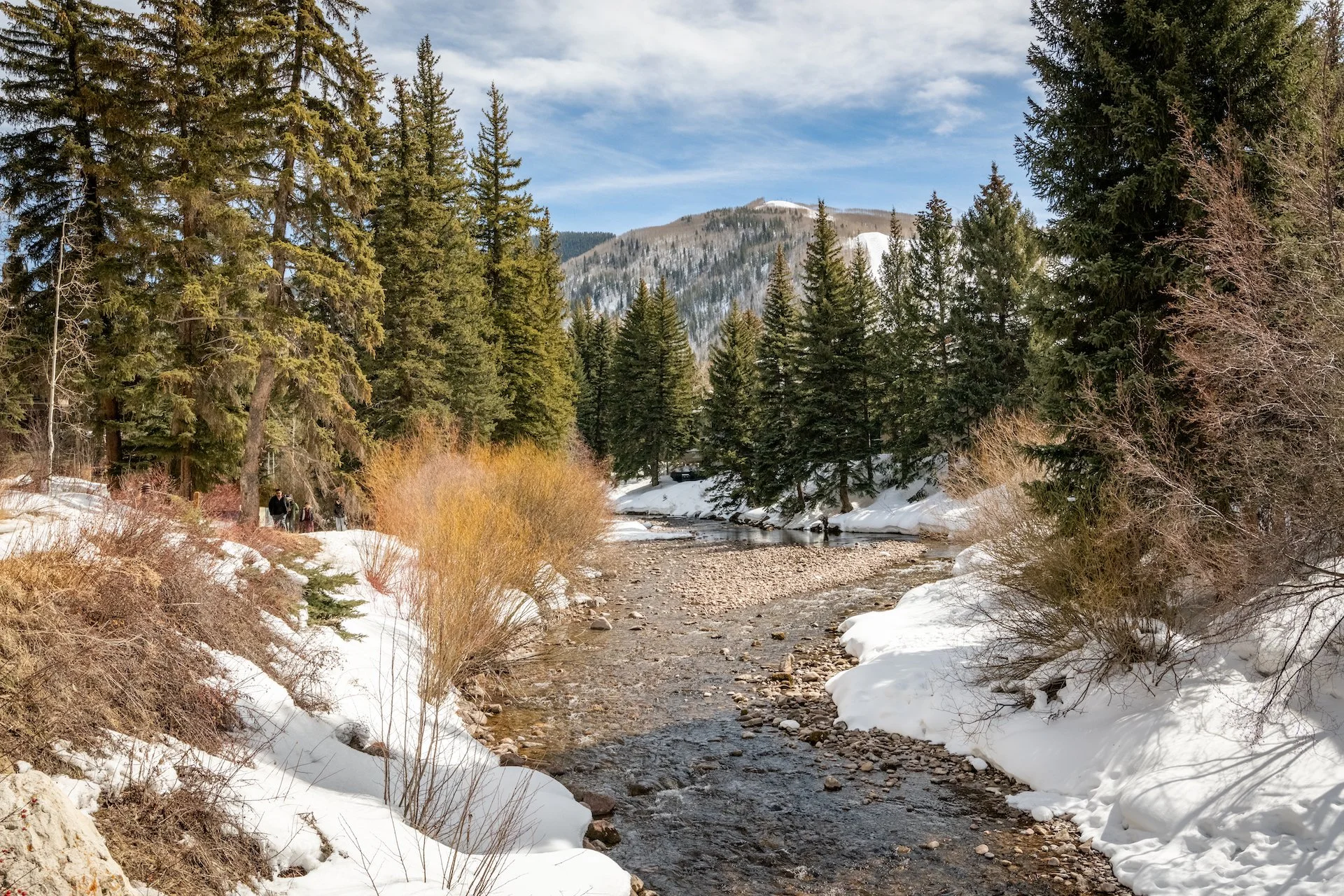 Landscape 8.jpg