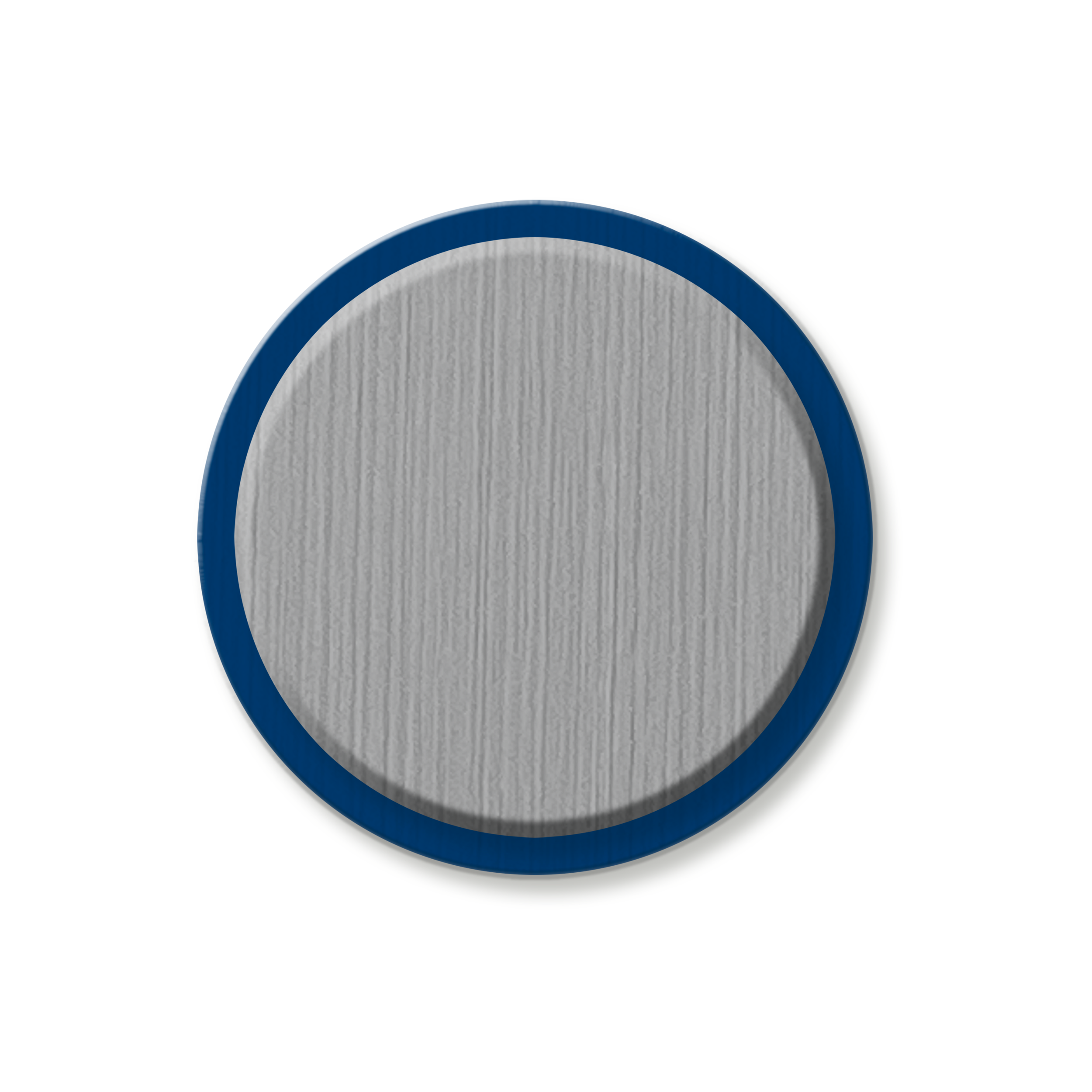 Light Gray_Deep Blue 2025.png