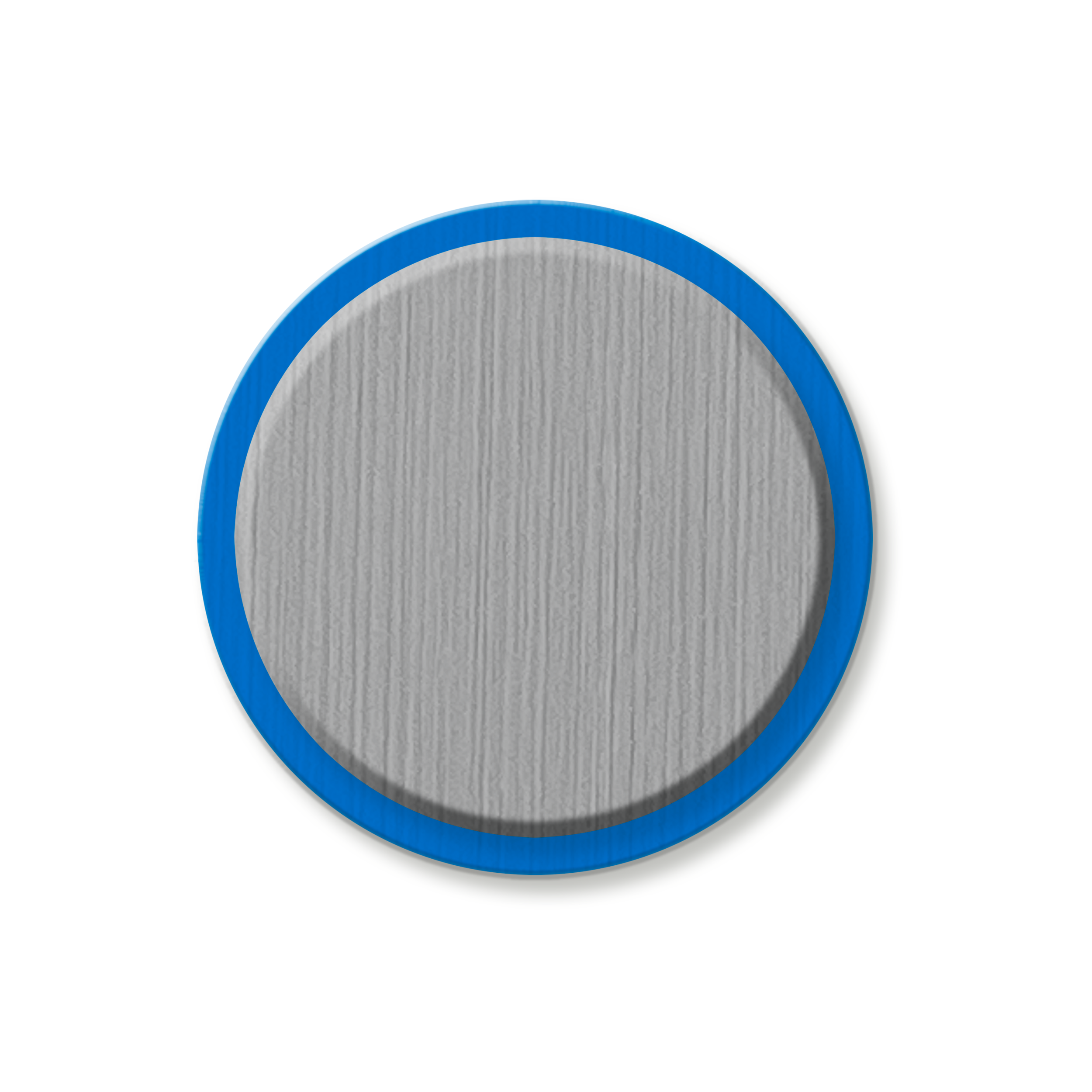 Light Gray_Electric Blue 2025.png