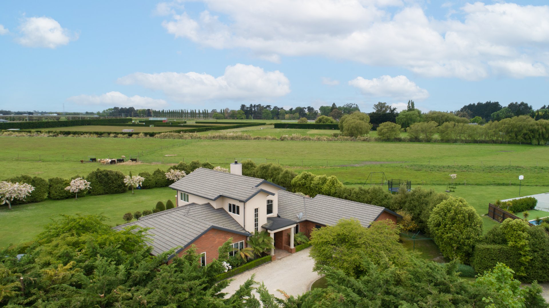 DJI_0166-Edit.jpg