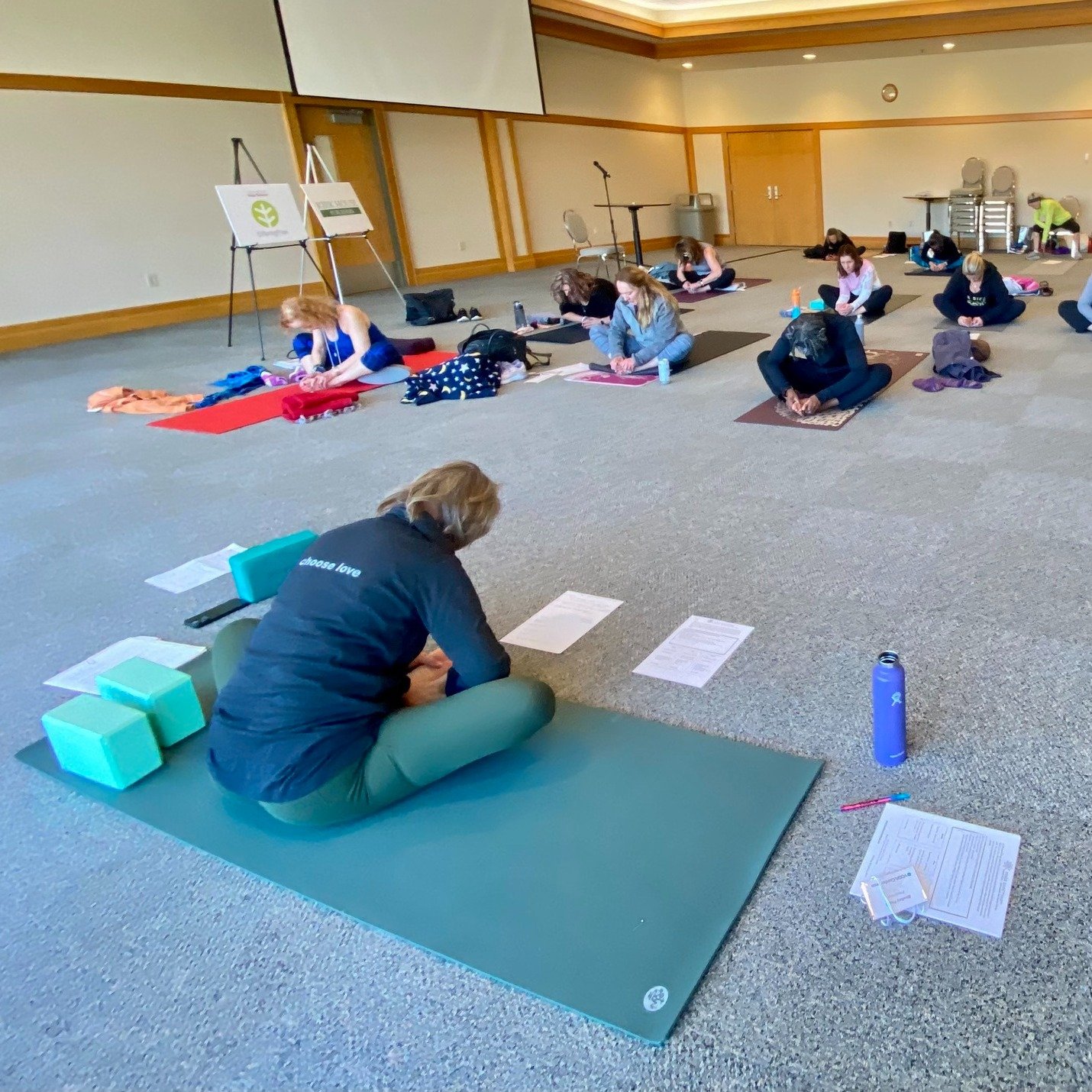 How wonderful it was to be with such intelligent and kind colleagues at the recent MN Yoga conference learning and teaching in such a strong yoga community. There is so much wonderful yoga happening in Minnesota! Thankful to have been a part!

#Thank