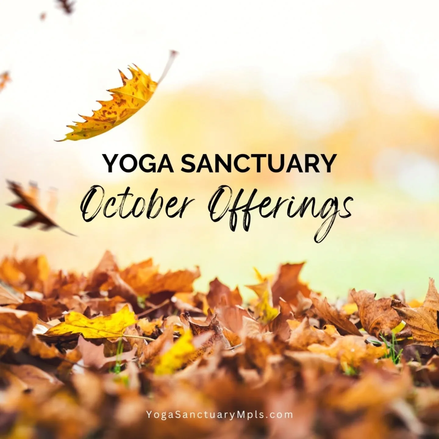 Feels like August, but it's October 🍁🌼
Here is what you can look forward to as we move into Fall:

🍂 Fri 10/3 #FirstFridayHealing: Restorative Yoga + Craniosacral Therapy w/ Laura Reese @starlinghealingarts
🍂 Sat 10/4: Somatic Dance with Julia An