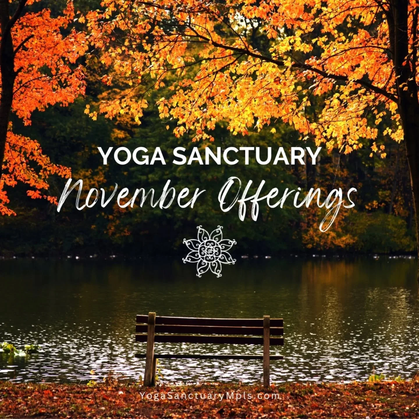 As we move into November, finding practices for rest and renewal brings resiliency of the mind and spirit. As we move into shorter days, colder temps, and holidays we invite you to join us for some special offerings at Yoga Sanctuary. 

🍁 Sat 11/1: 