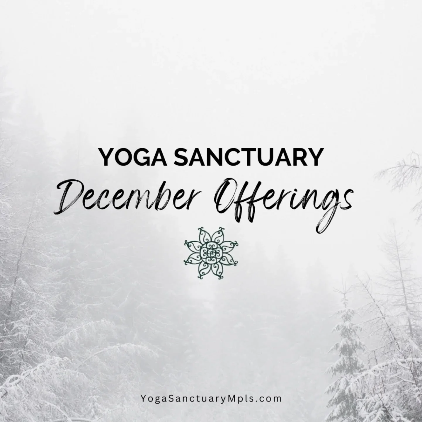 As we move into the darkest month of the year, we've curated some offerings for you to nurture your body, mind and spirit. 

🖤Fri 12/5: Restorative Yoga &amp; Marma Points w/ Krista Lindgren @sacredgroundwellness
🖤Sun 12/14: Yoga Para La Communidad