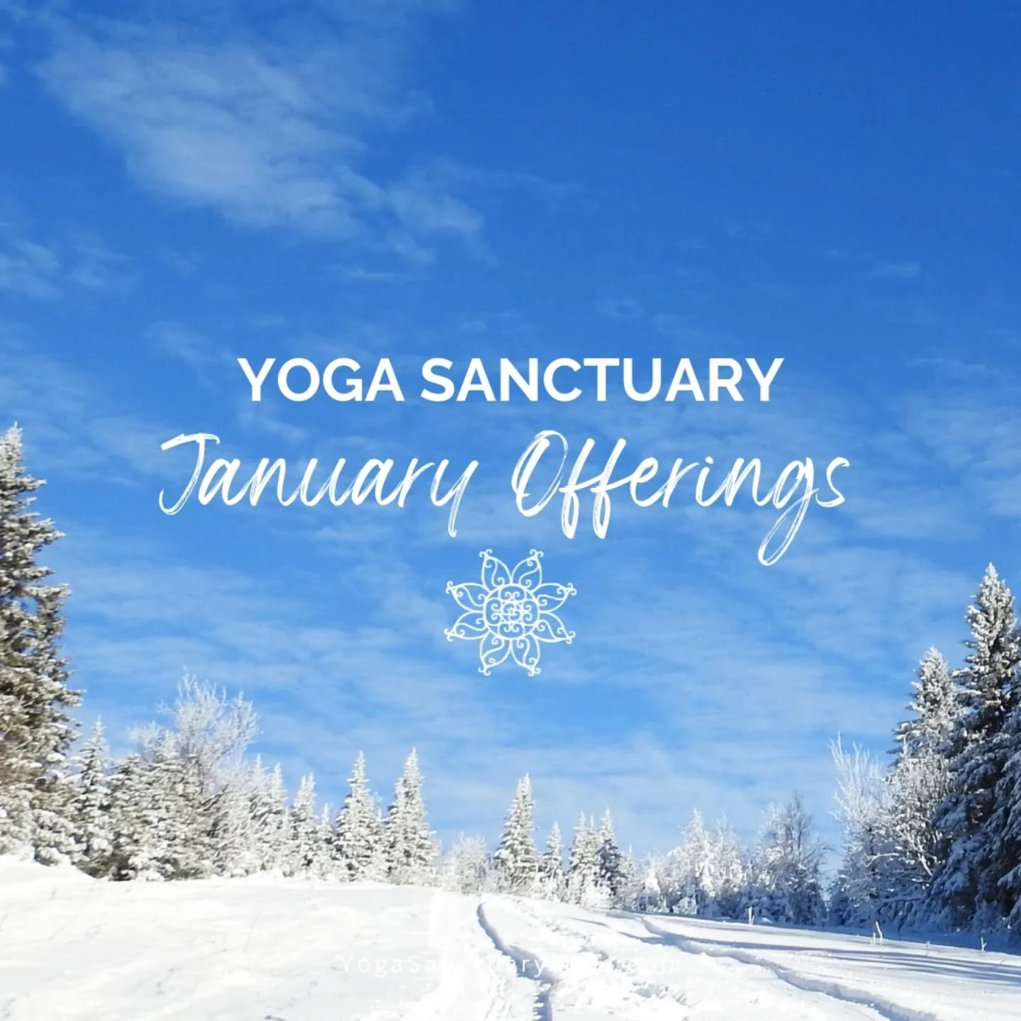 New year, new yoga for you ❄️🕛✨🎊
Here's a look at our January Workshops, series, and special offerings.

🎊 Thurs 1/1 New Year's Day: Restorative Yoga and Yoga Nidra w/ Laura Reese @starlinghealingarts (workshop is full- wait-list open)
🎊 Thurs 1/