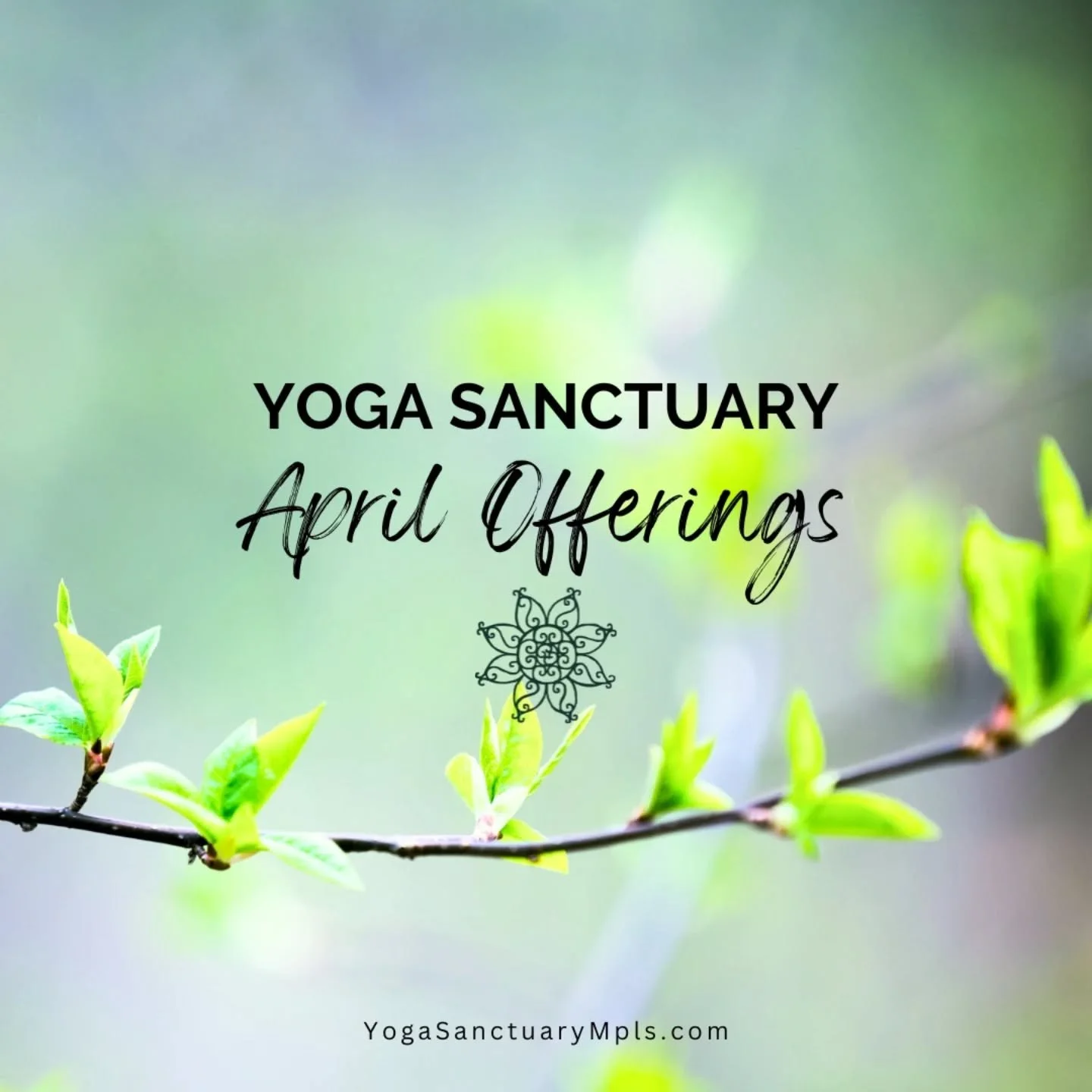 Not an April Fool's Joke- we've got some good workshops this month! We hope you can join us 🌞

☔ Fri 4/3 #FirstFridayHealing Restorative Yoga and Yoga Nidra w/ Krista Lindgren  @sacredgroundwellness @krista_lindgren
☔ Sat 4/4 Music &amp; Mindfulness