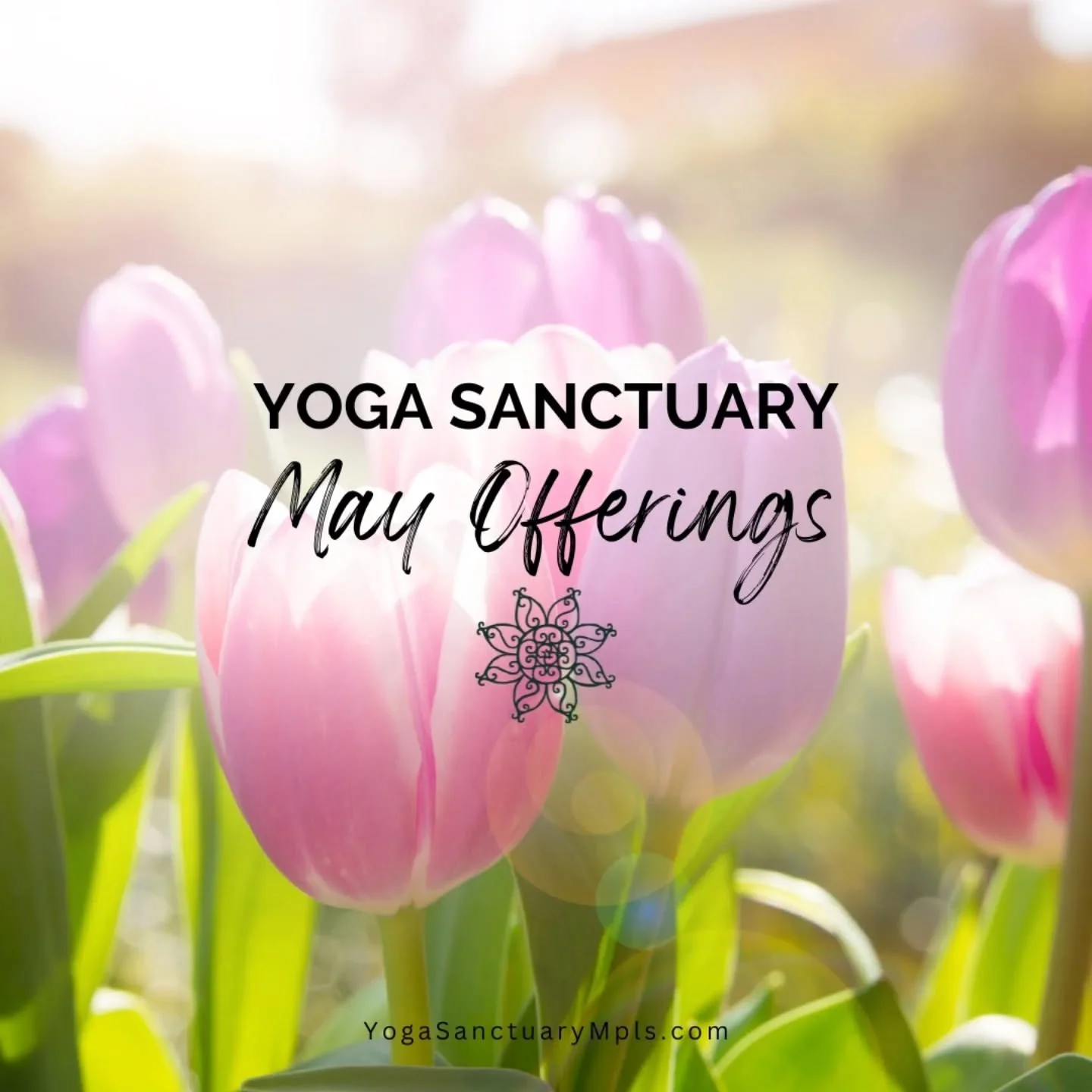 May offerings to support your holistic well being. 

Whether you're new to yoga, deepening your practice, or are looking for ways to connect in community, you are welcome and we would love to see you! 

🌷Fri 5/1 #FirstFridayHealing Rest, Sound, and 