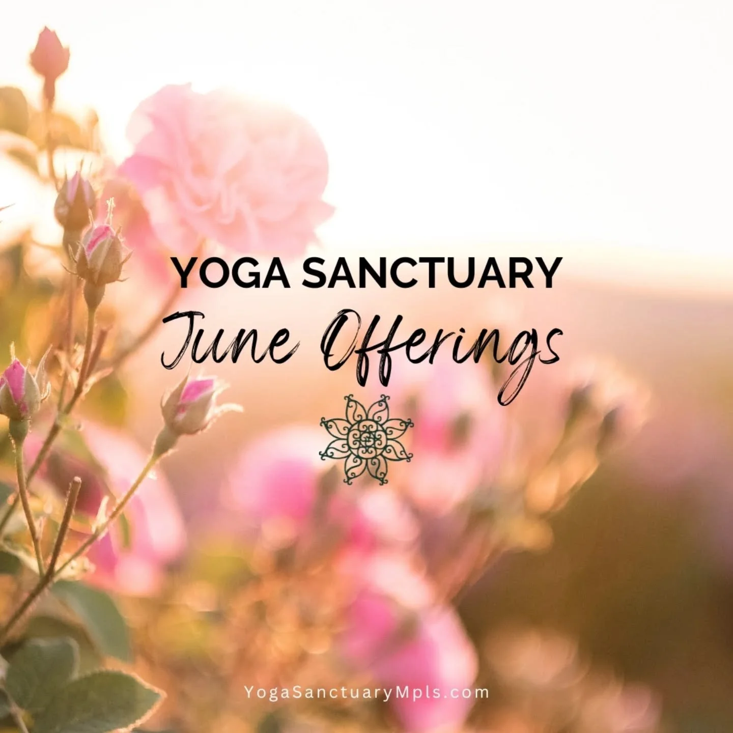 Summer offerings for June to ignite the inner light and rest your inner fire. 🌞

☀️Fri 6/5 Seasonal Summer Wellness w/ Courtney Dingman @wild_geese_yoga
☀️Fri 6/5 #FirstFridayHealing Restorative &amp; Yoga Nidra w/ Shelley Pagitt @shelleypagitt
☀️Sa
