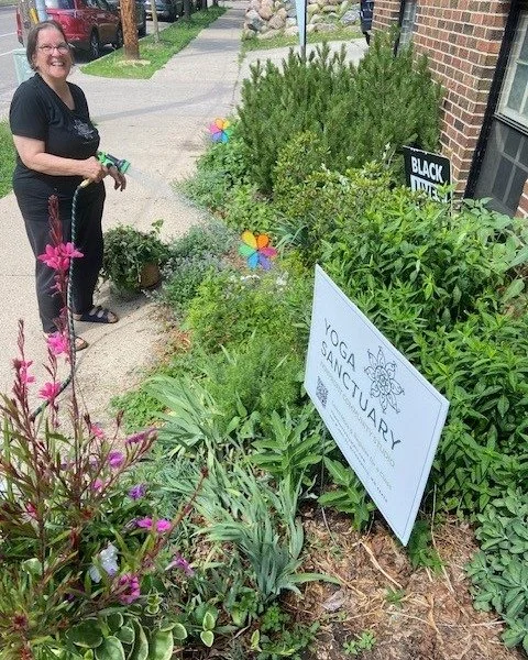 When flowers get transplanted...

Jan recently brought Black Eyed Susans and planted them for us all to enjoy together. But transplanting can be a stressful process. 

There is the labor involved, the planning, the consideration around timing, season