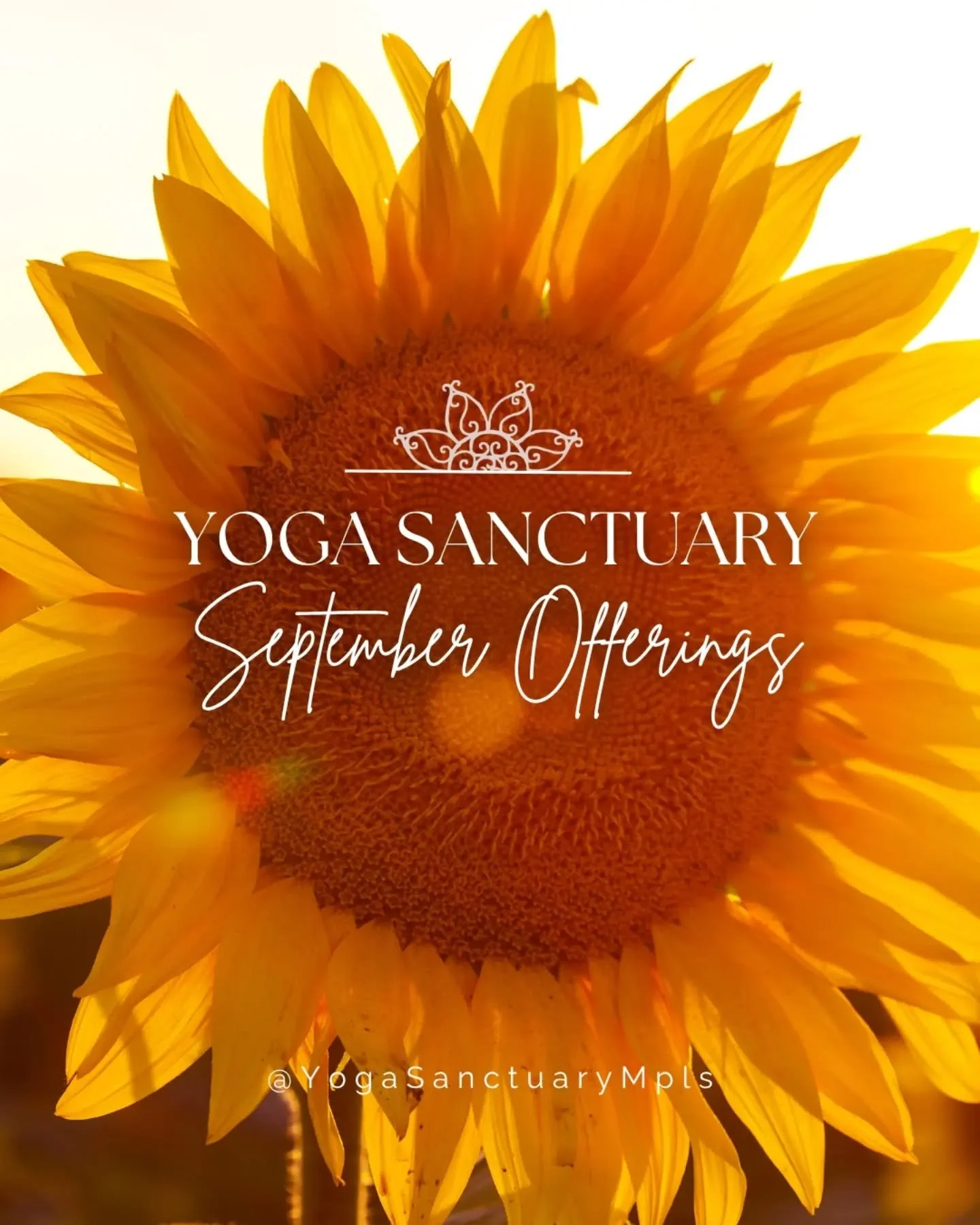 As Summer winds down and you navigate a seasonal transition, we welcome and invite you to a number of supportive, holistic offerings for you mind, body, and spirit.

🌾Wed 9/2-10/7 Holistic Mat Pilates Series w/ Karen Youso
🌾Thur 9/3-10/8 Somatic Yo